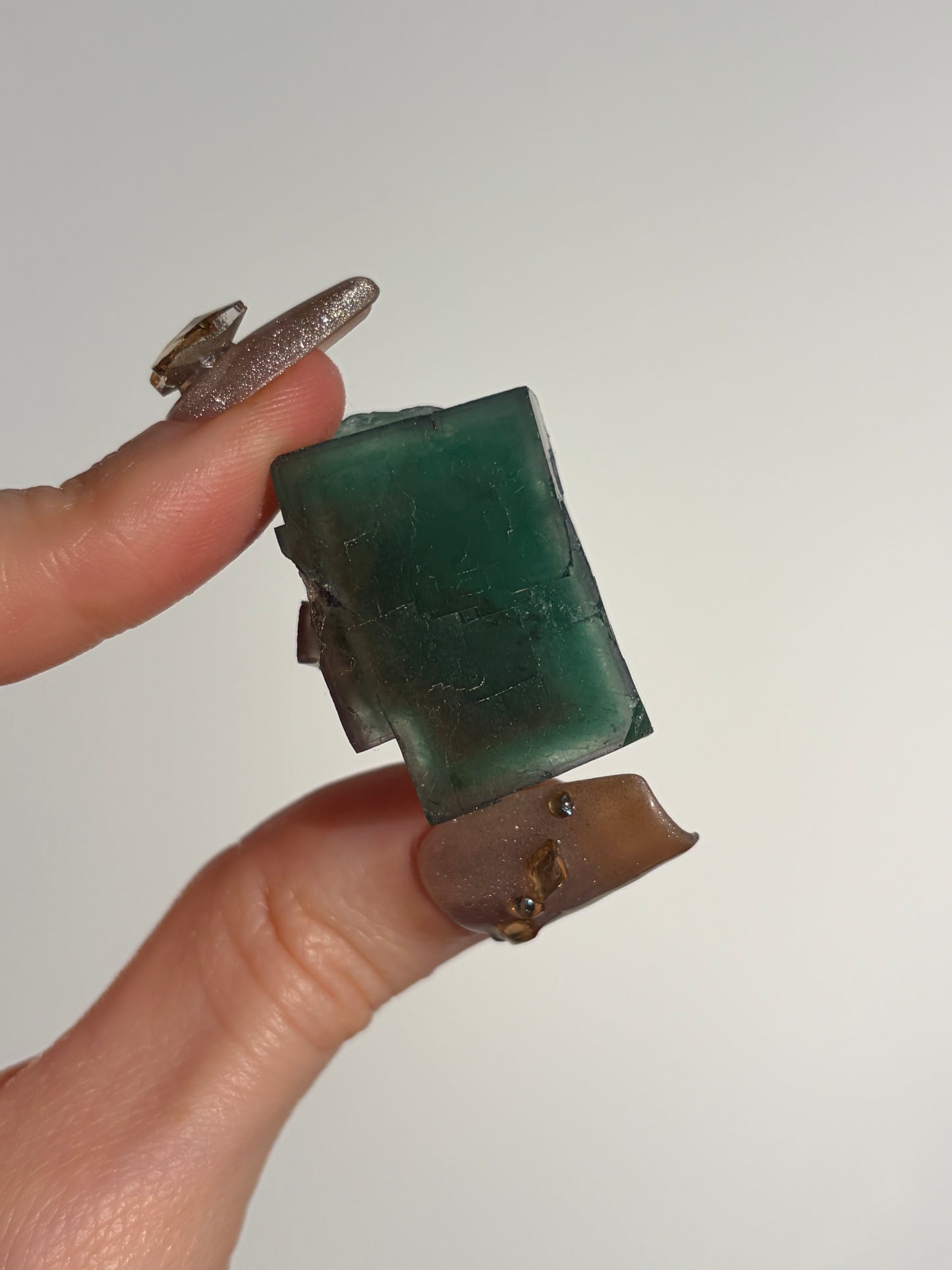 Halo Garden Fluorite Specimen I