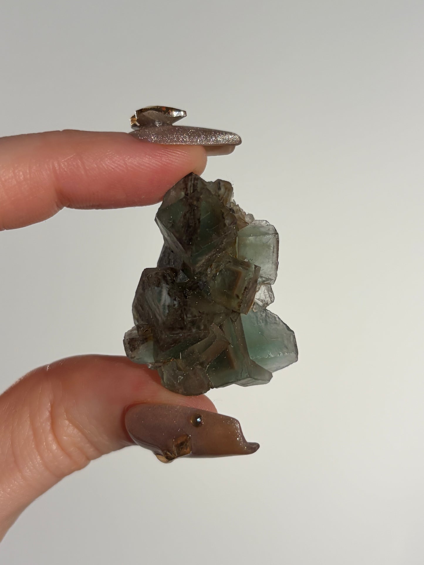 Halo Garden Fluorite Specimen J