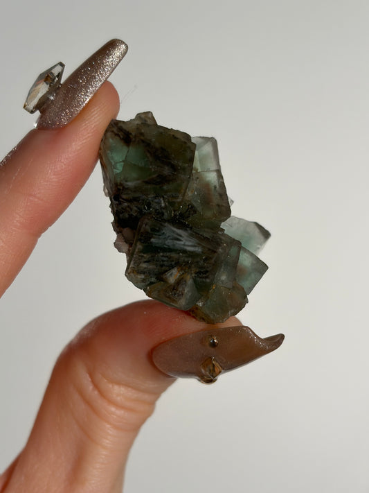 Halo Garden Fluorite Specimen J