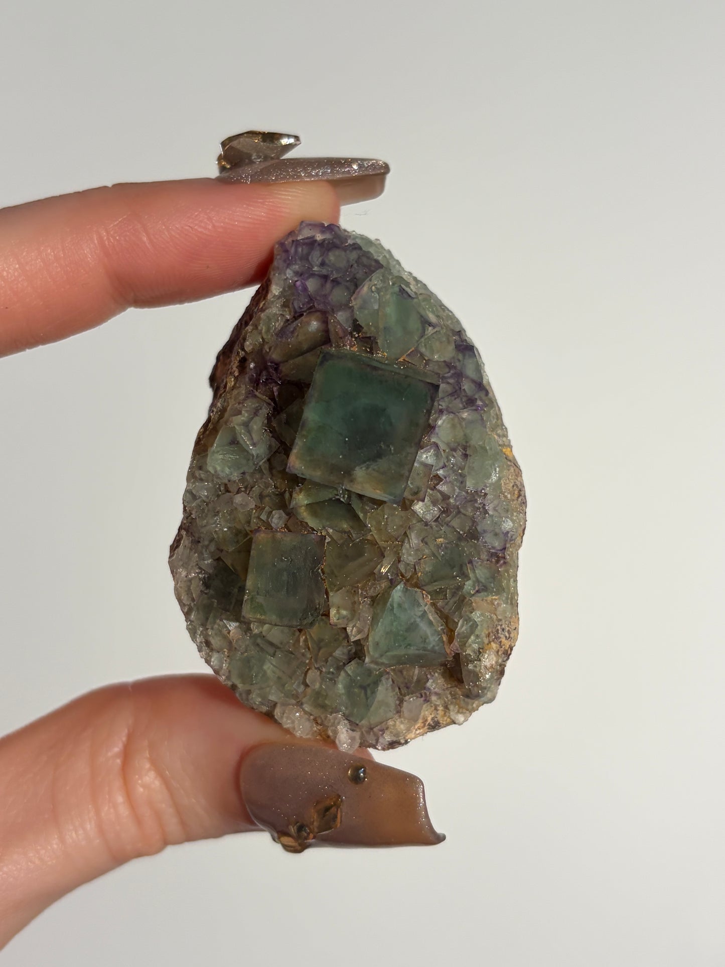 Halo Garden Fluorite Specimen K