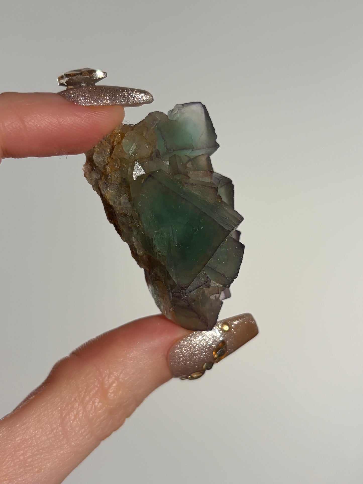 Halo Garden Fluorite Specimen L