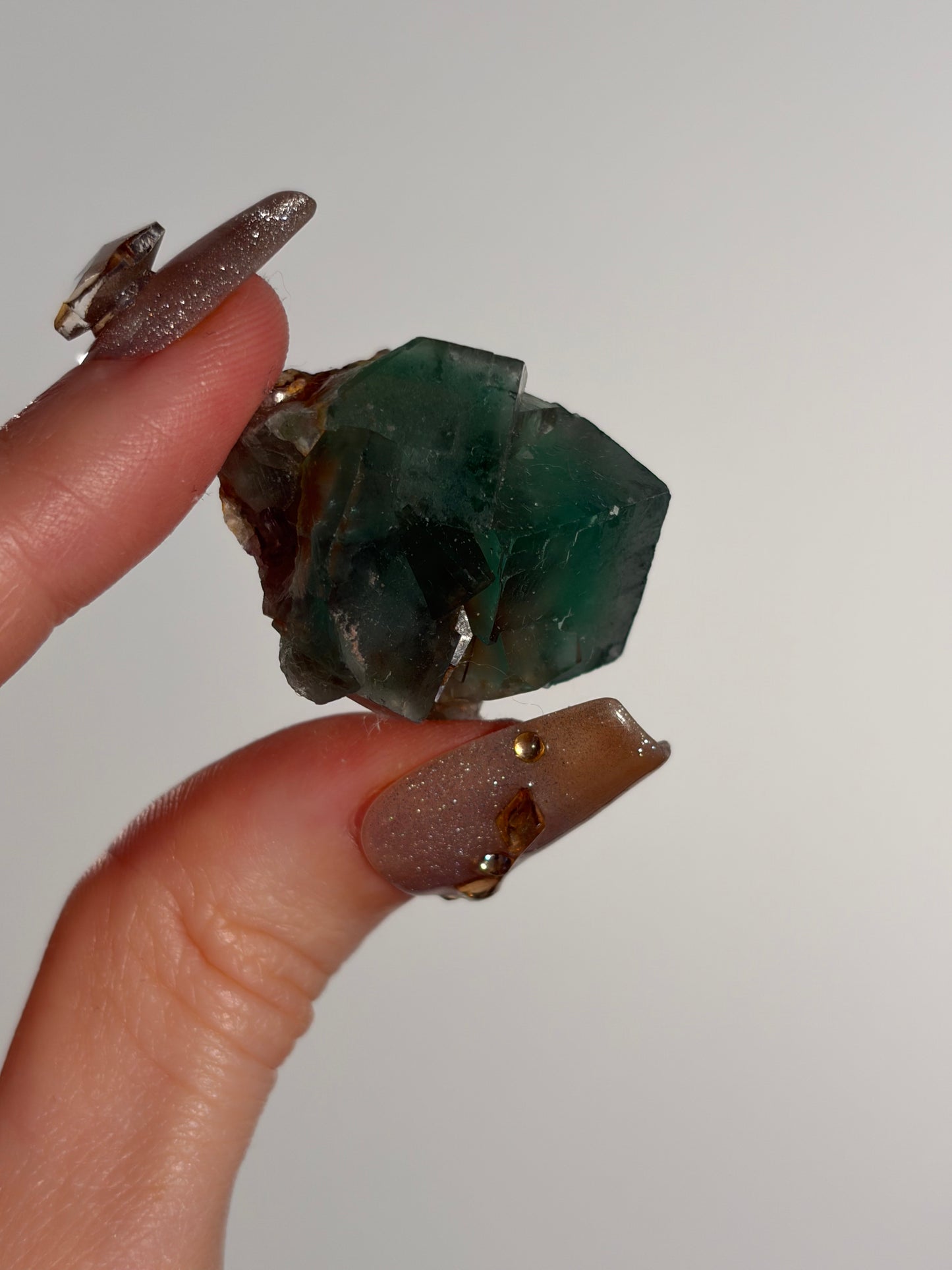 Halo Garden Fluorite Specimen M