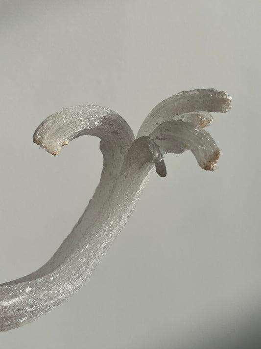 Selenite Horn Specimen A