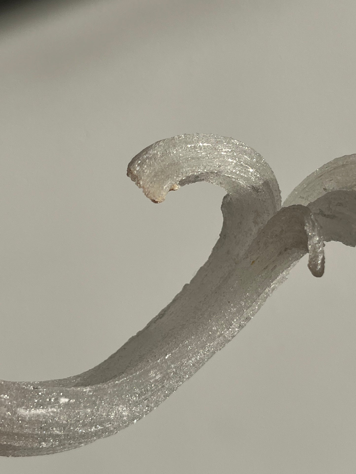 Selenite Horn Specimen A