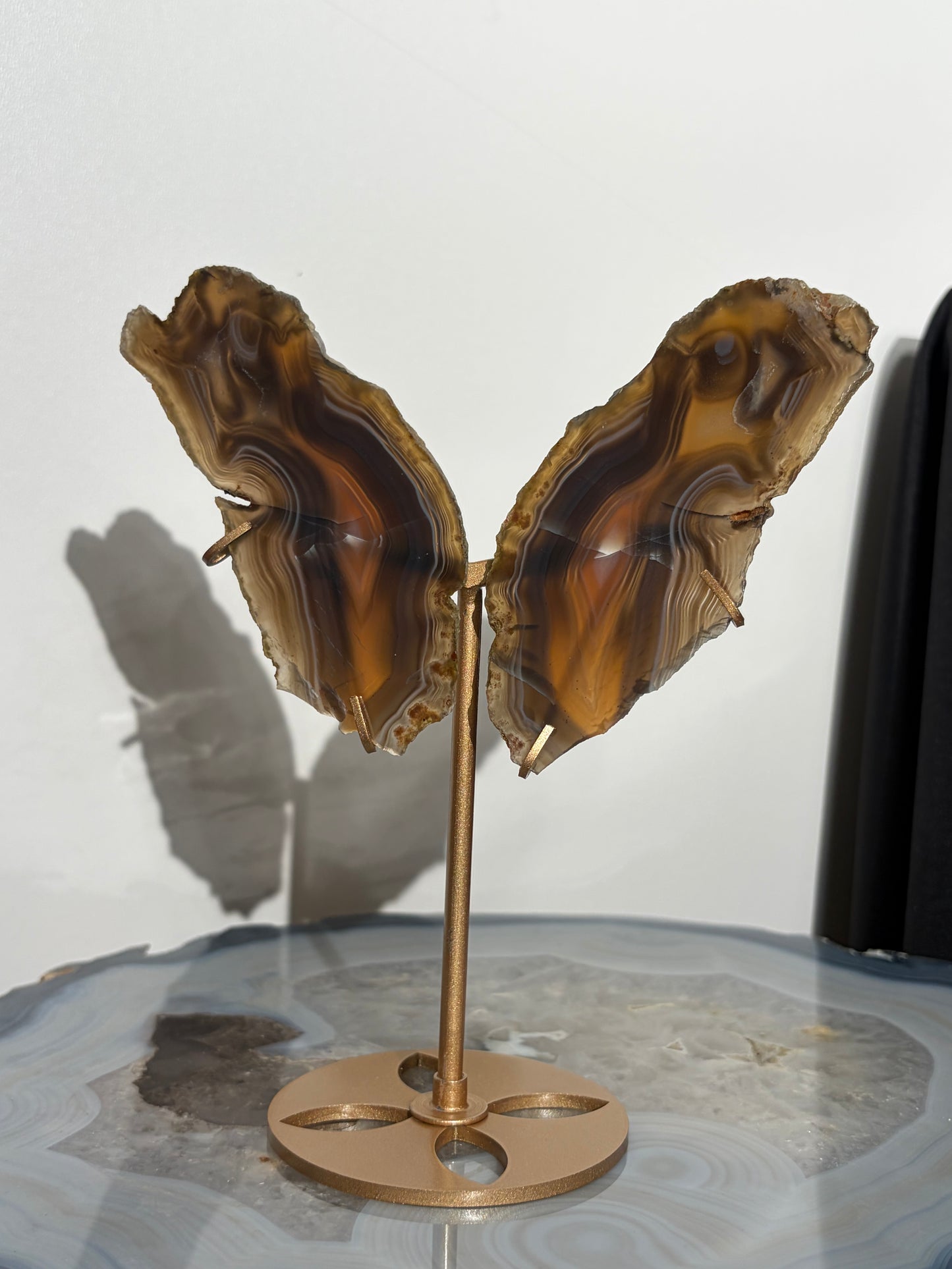 "Maxima" Agate Butterfly Wings on Custom Display Stand