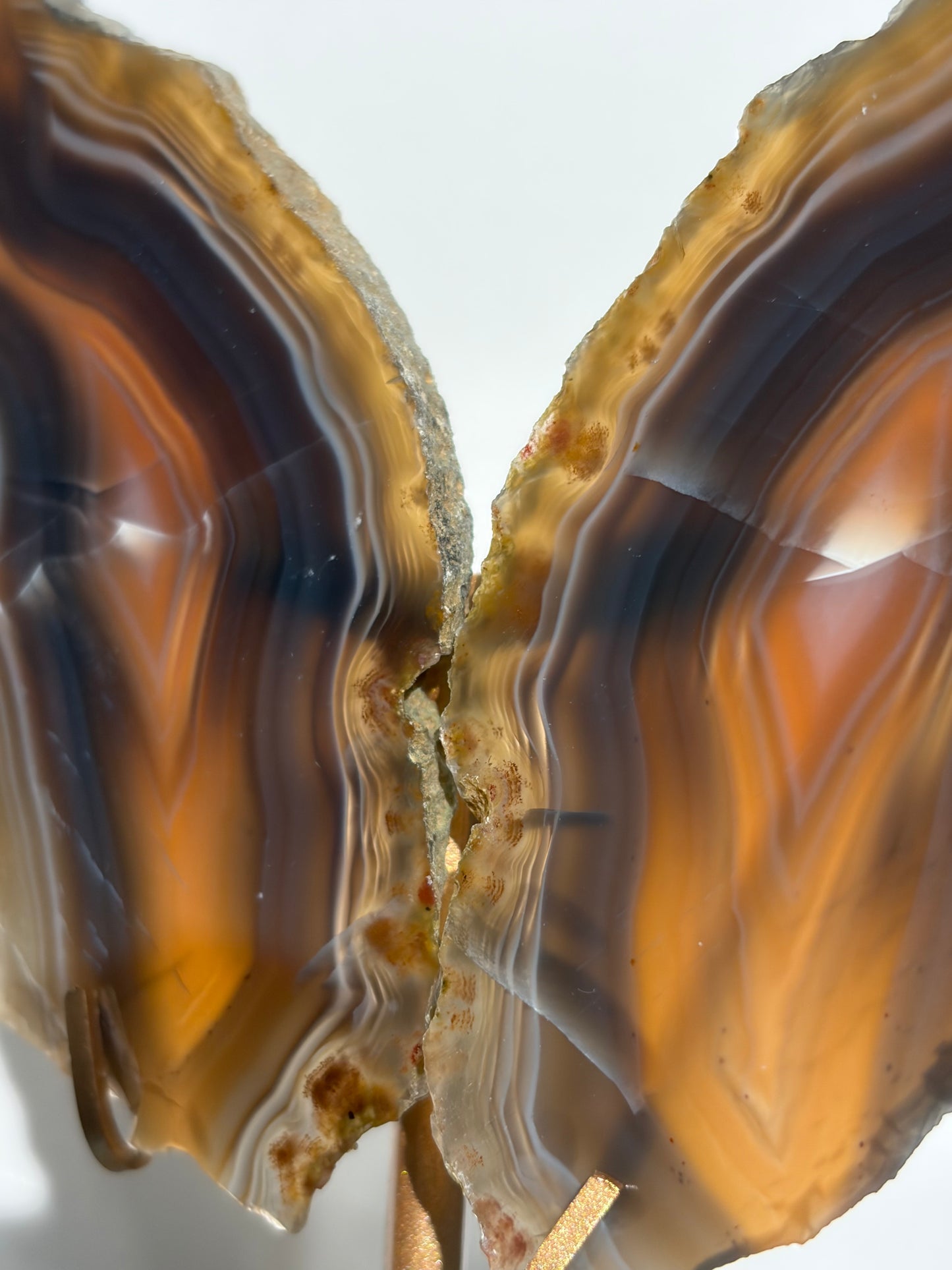 "Maxima" Agate Butterfly Wings on Custom Display Stand