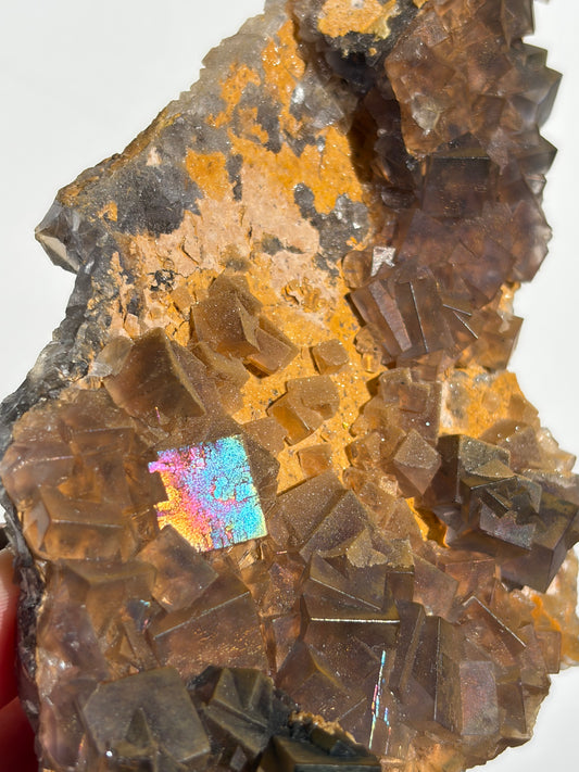 Druzy Coated Iridescent Fluorite Specimen with Calcite D