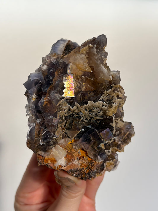 Iridescent Fluorite Specimen with Dog's Tooth Calcite and Winged Selenite A