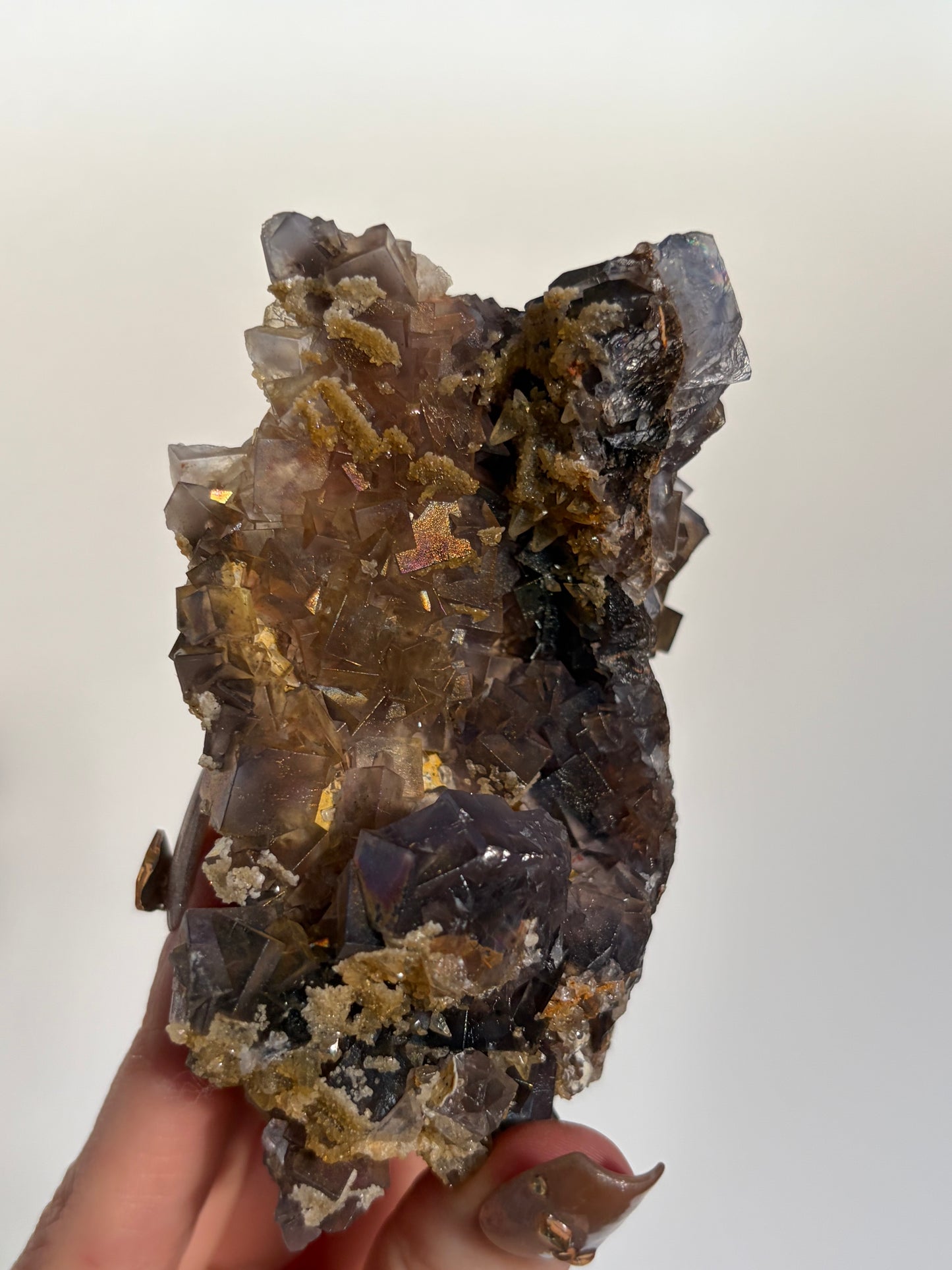 Iridescent Fluorite Specimen with Dog's Tooth Calcite and Winged Selenite A