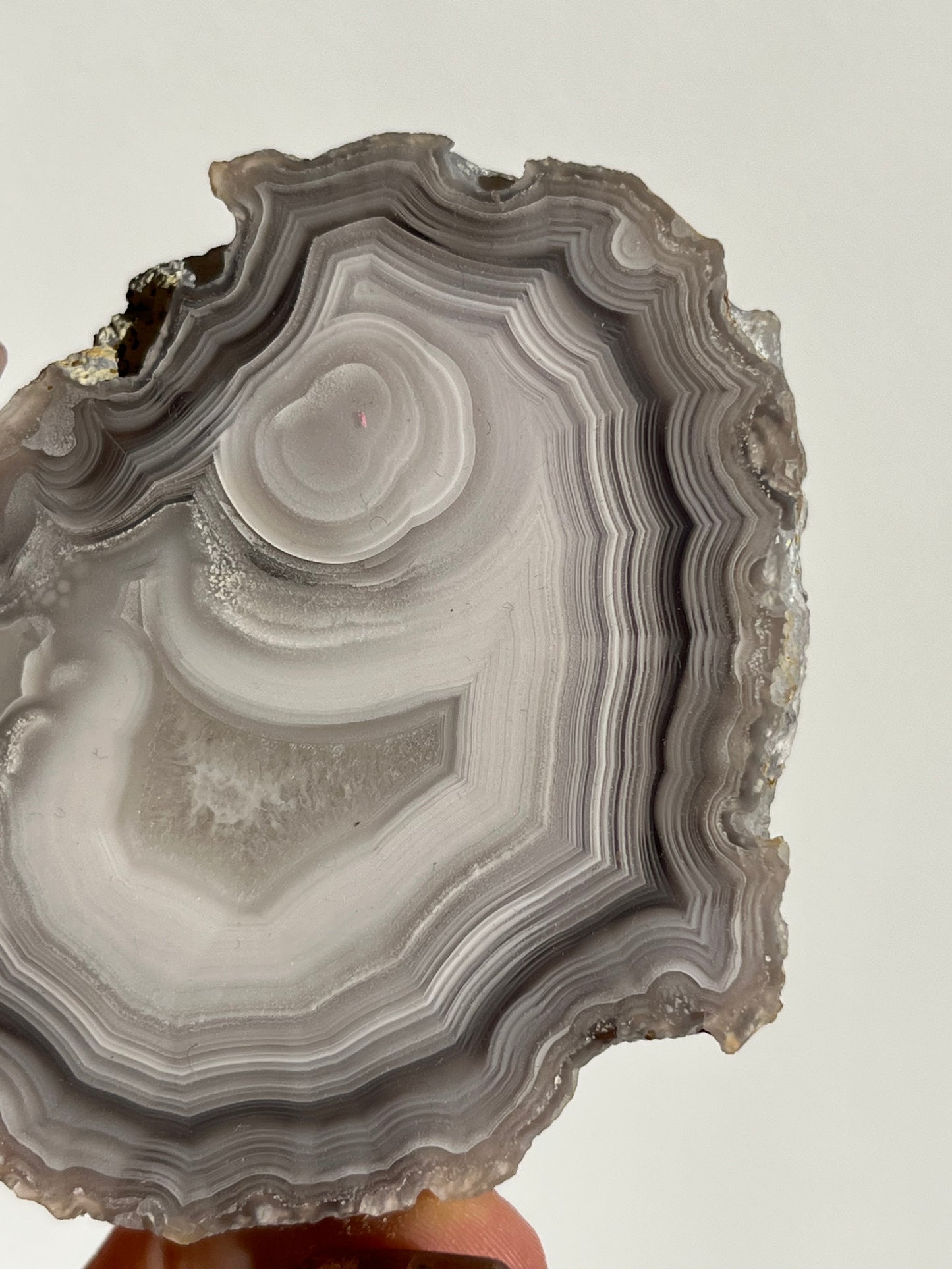 "Cyclops: The New Era" Laguna Agate with Parallax Effect