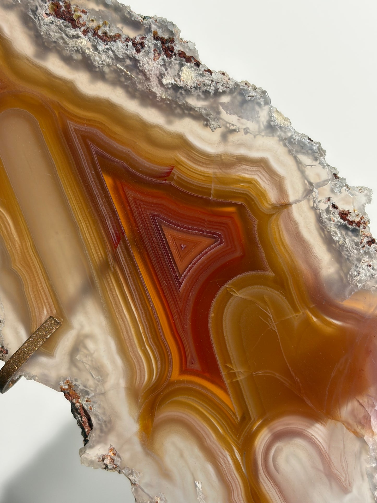 "Ophelia Rising" Red-Orange Laguna Agate Butterfly Wing Set with Parallax Effect