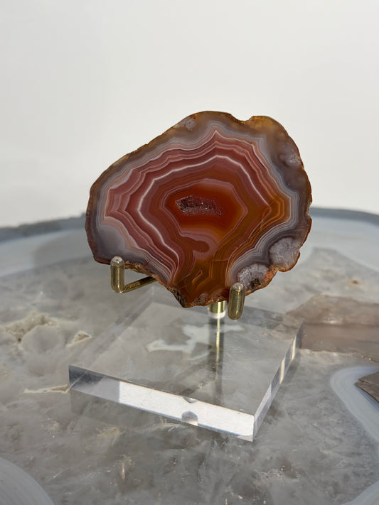 "Salmon River" Red Laguna Agate Specimen with Sagenite Inclusions and Parallax Effect