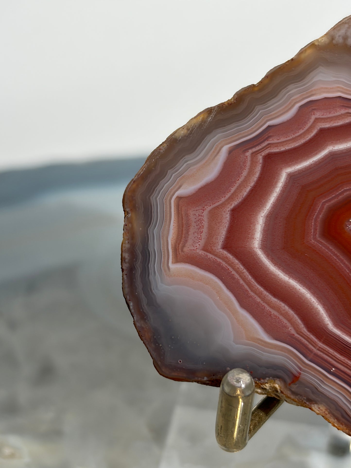 "Salmon River" Red Laguna Agate Specimen with Sagenite Inclusions and Parallax Effect