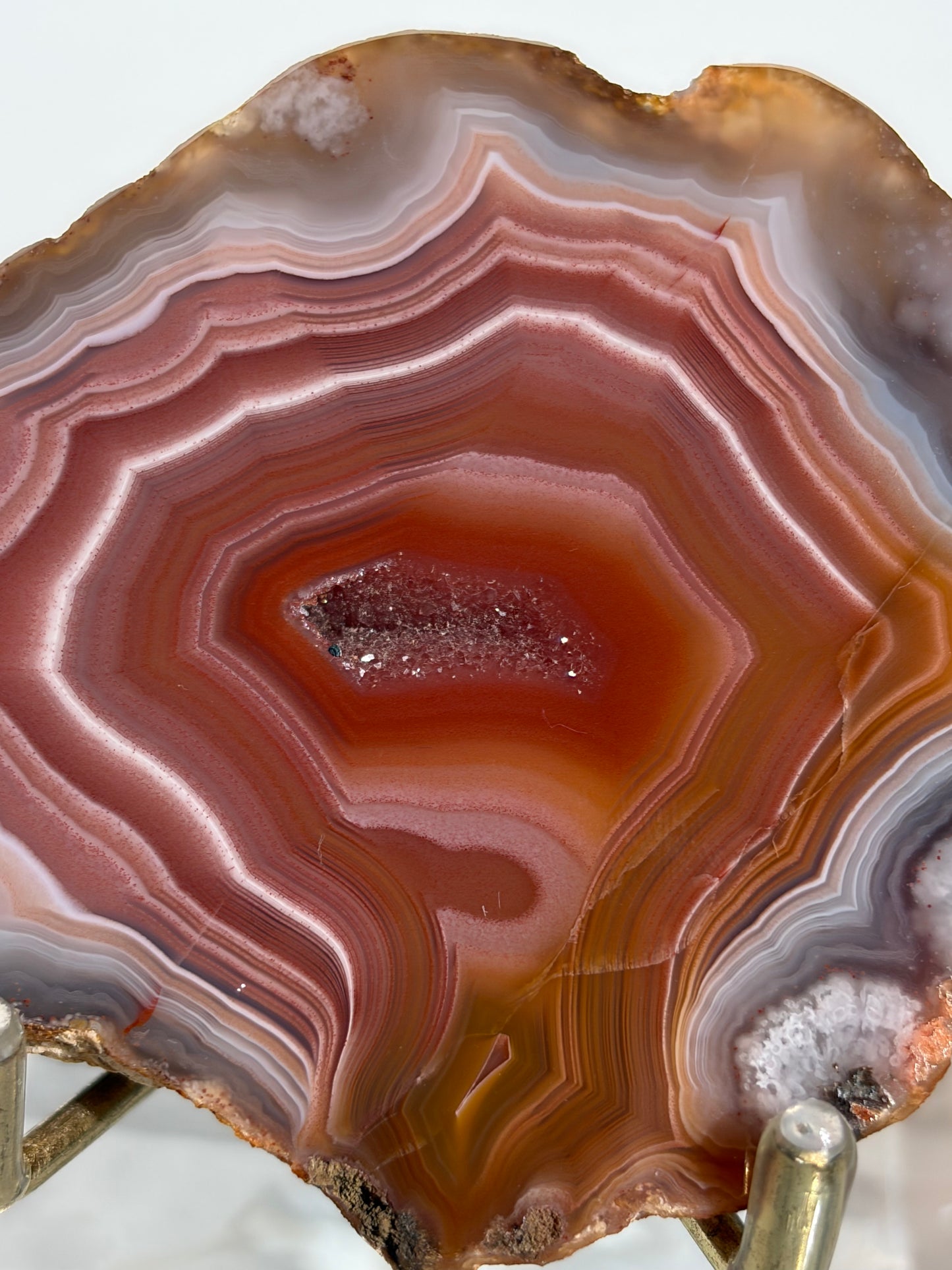 "Salmon River" Red Laguna Agate Specimen with Sagenite Inclusions and Parallax Effect