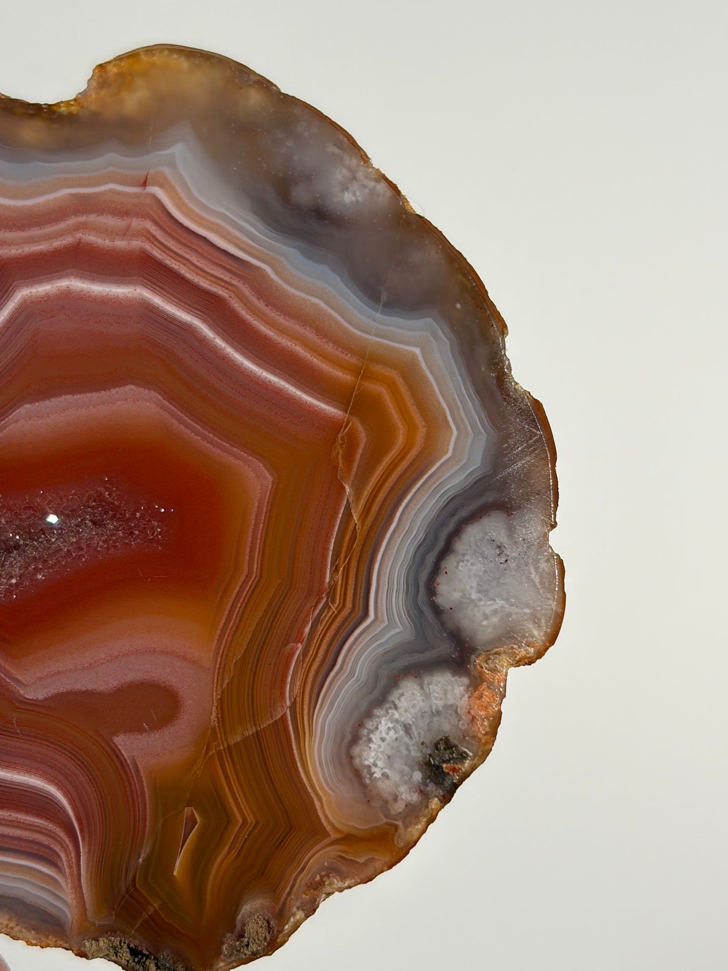 "Salmon River" Red Laguna Agate Specimen with Sagenite Inclusions and Parallax Effect