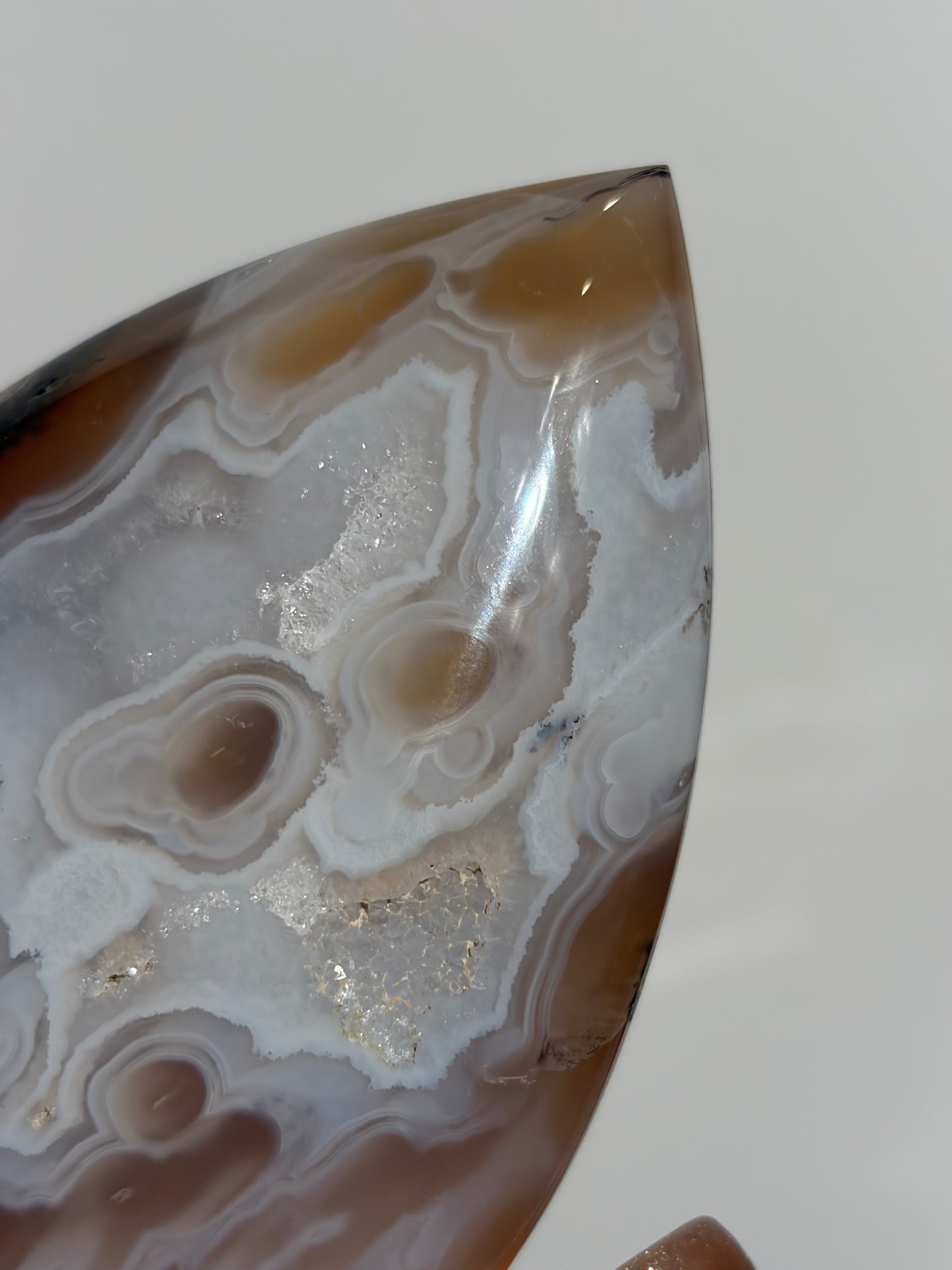 “Cyan Blooms” Jelly Orbicular Nebula Agate Flame Carving with Green Moss A