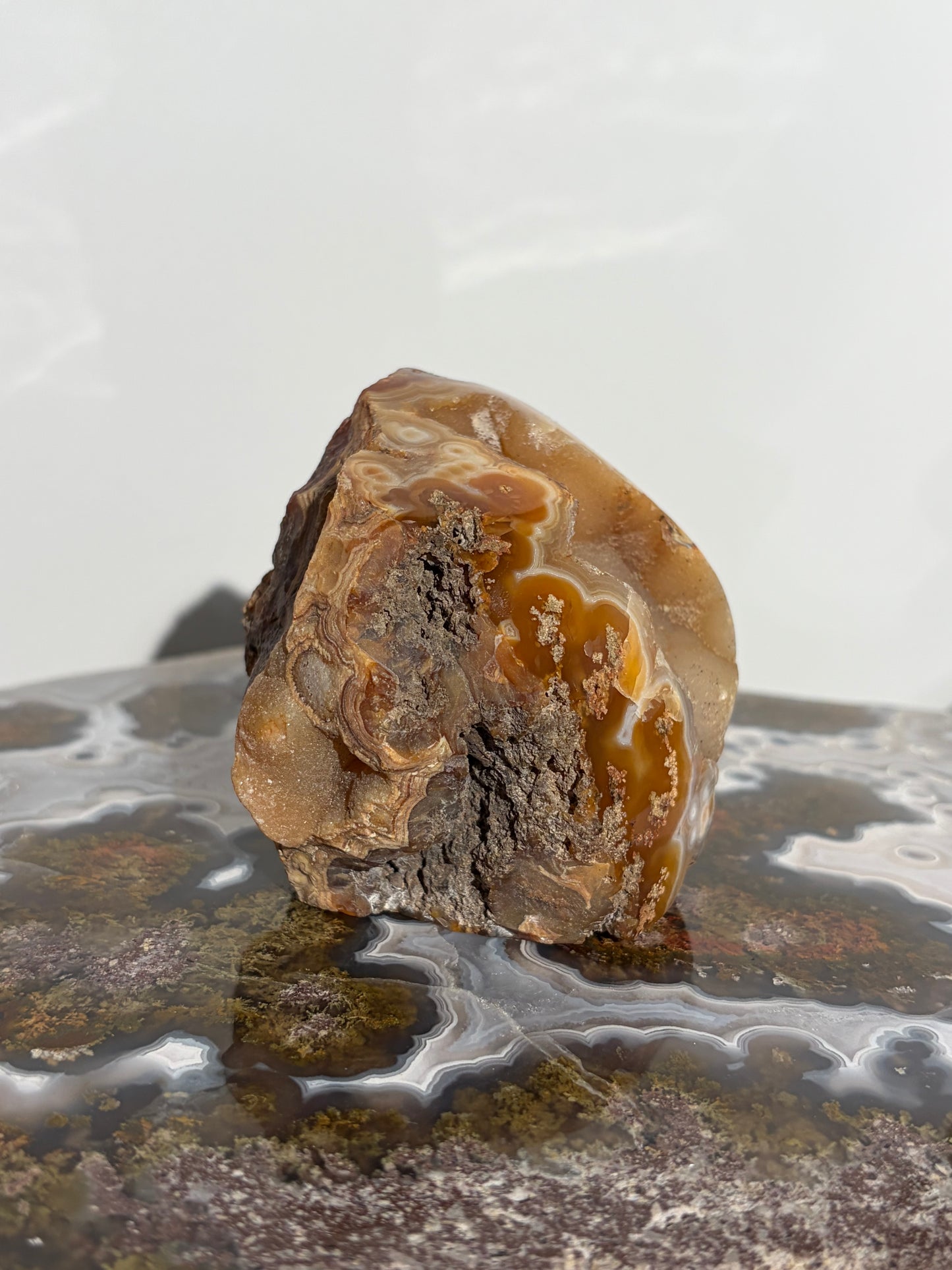 “Solar Garden” Honey World Nebula Agate with Quartz Freeform