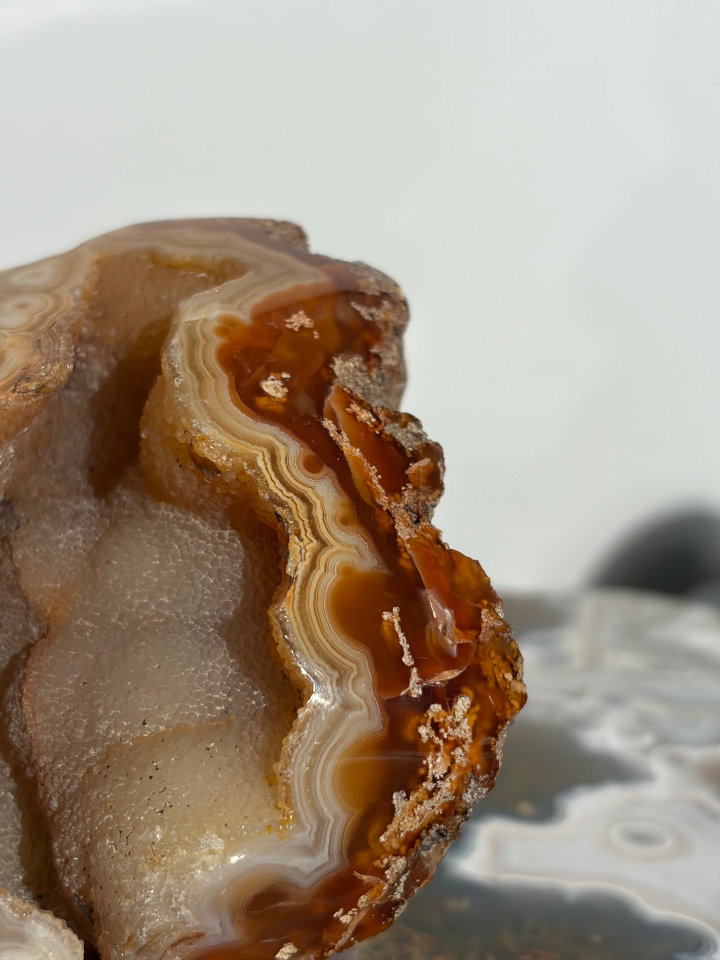 “Solar Garden” Honey World Nebula Agate with Quartz Freeform