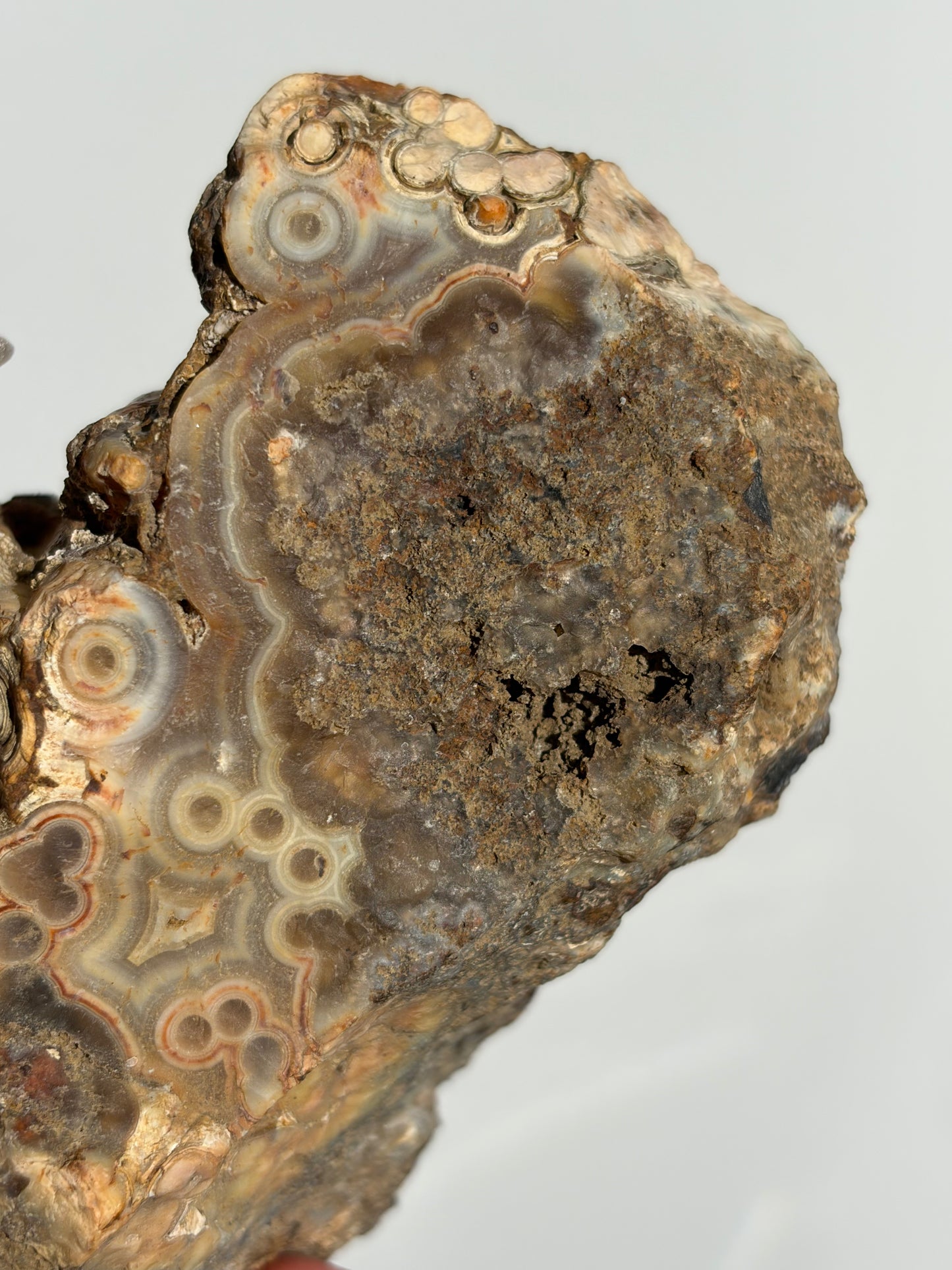 “Cosmos Aureus” Semi Polished Orbicular Nebula Agate Freeform