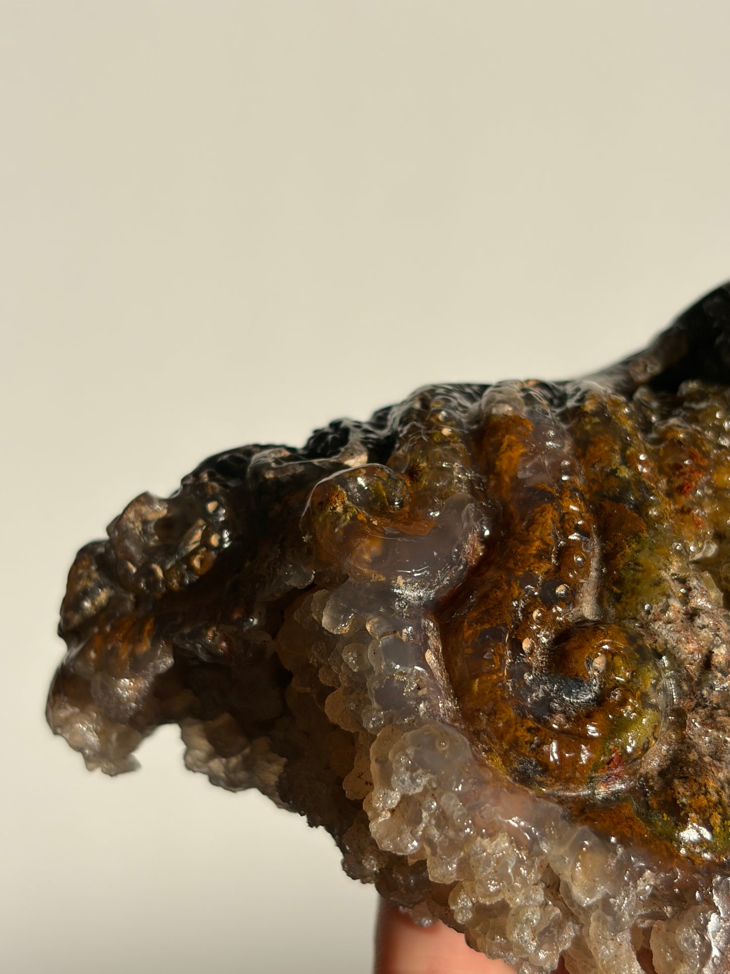 “Gurita” Nebula Agate Octopus Carving
