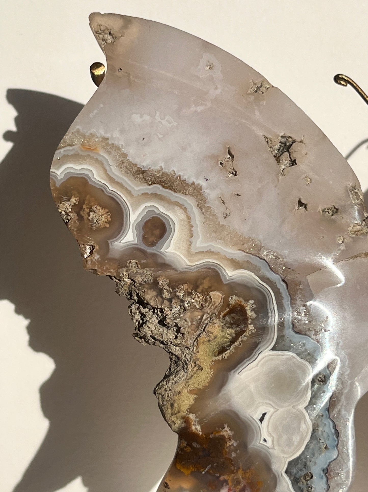 Nebula Agate with Dendritic Inclusions Butterfly on Stand