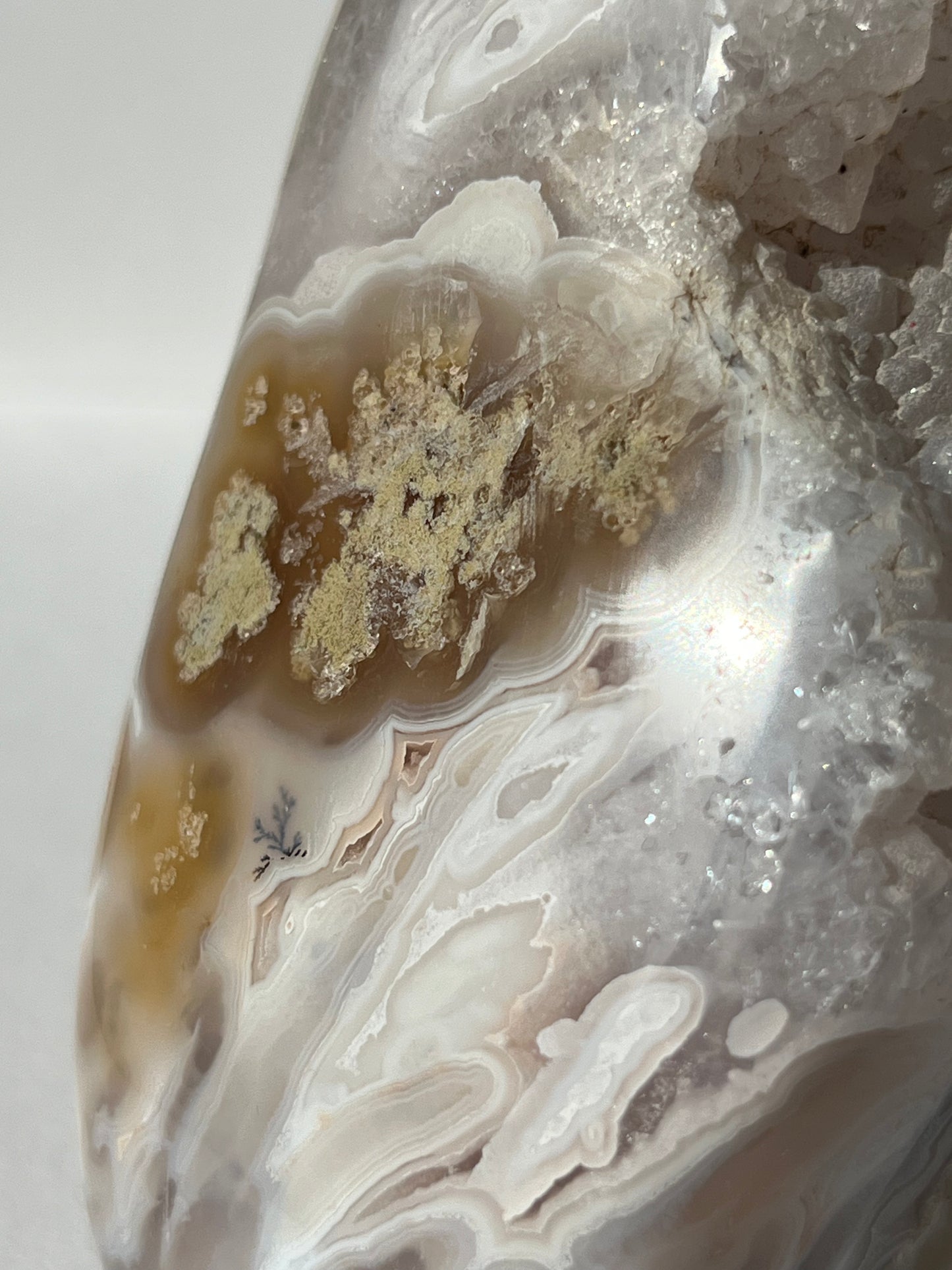 “Silica Flows” Sugar Druzy Orbicular Nebula Agate Freeform with Dendritic Inclusions A