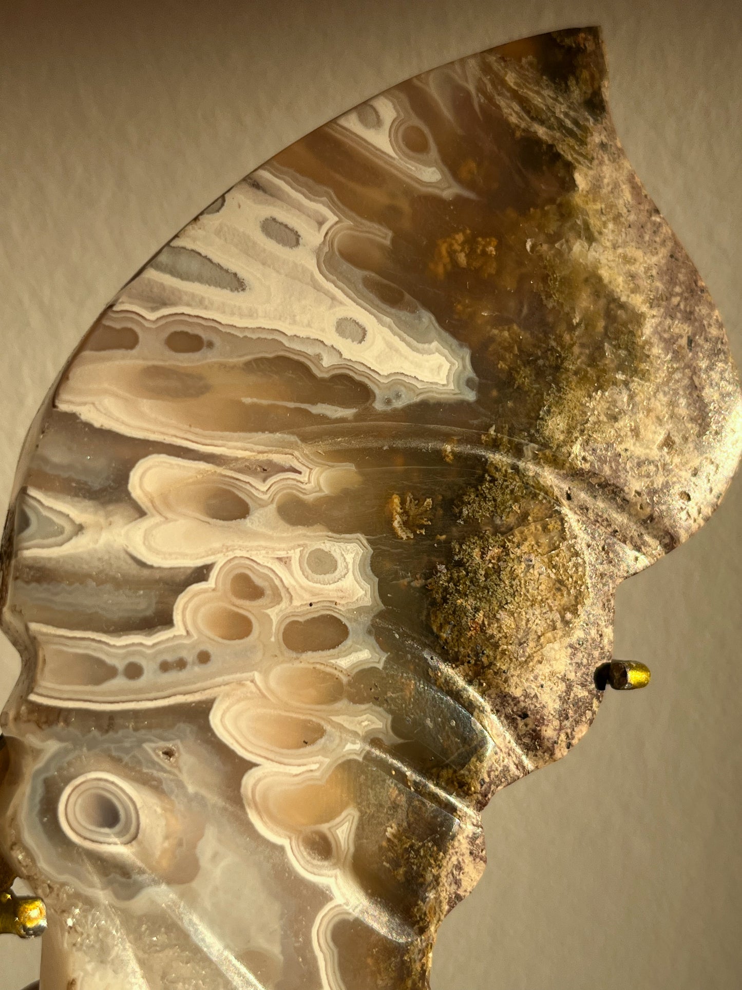 Orbicular Nebula Agate & Scenic Moss Butterfly Wings on Stand