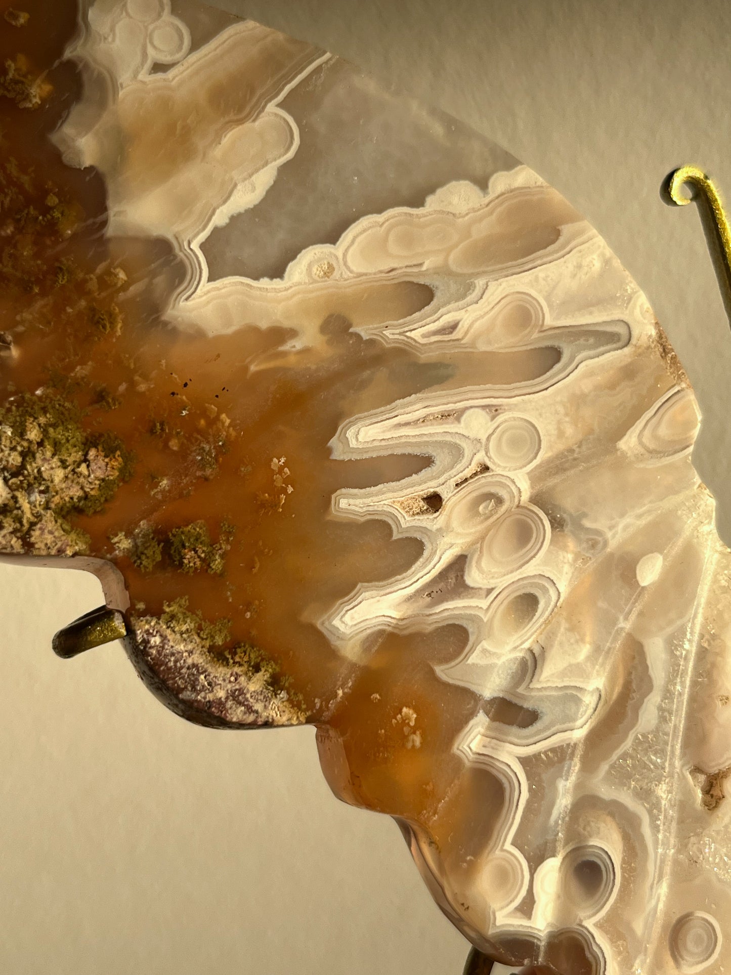 Orbicular Nebula Agate & Scenic Moss Butterfly Wings on Stand