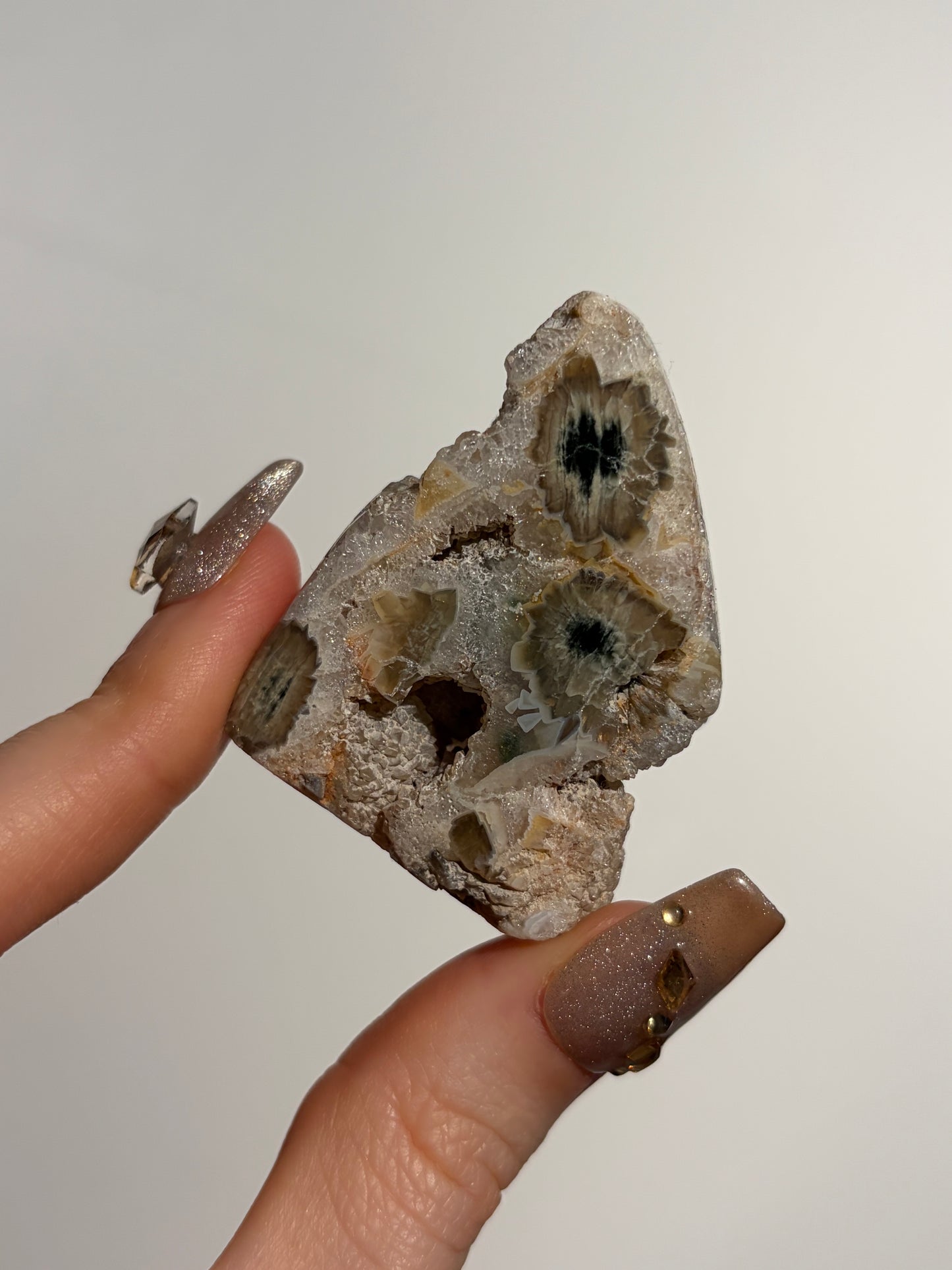 Druzy Orbicular Jasper Miniature Freeform E