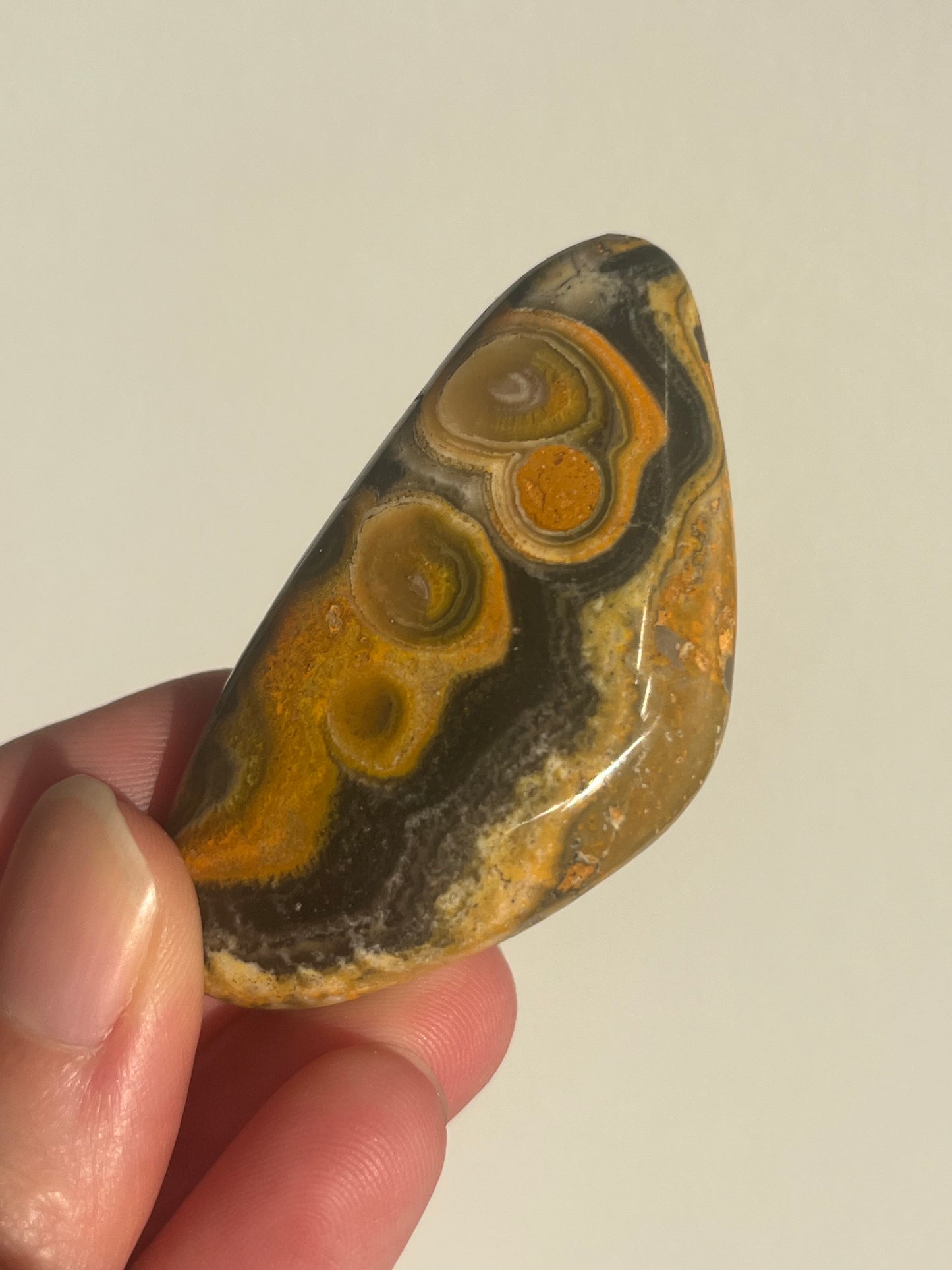 'Contour' Old Stock Orbicular Bumblebee Jasper Palmstone #3