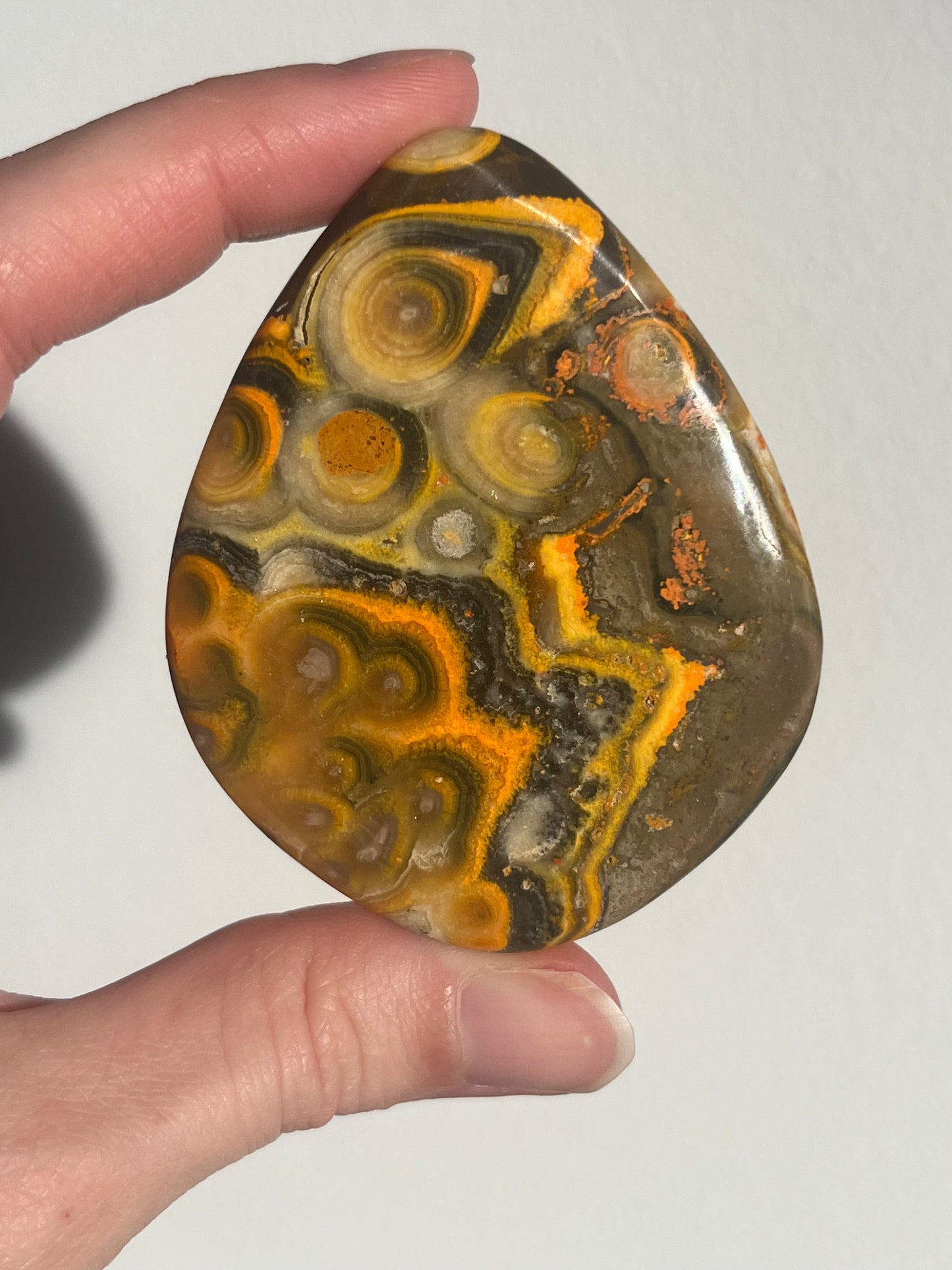 'All Seeing Eye' Old Stock Orbicular Bumblebee Jasper Palmstone #4