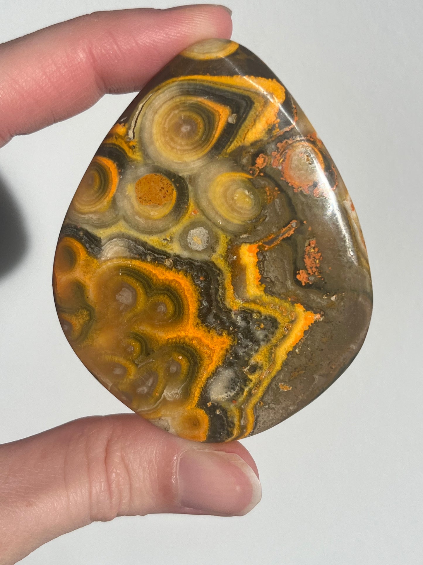 'All Seeing Eye' Old Stock Orbicular Bumblebee Jasper Palmstone #4