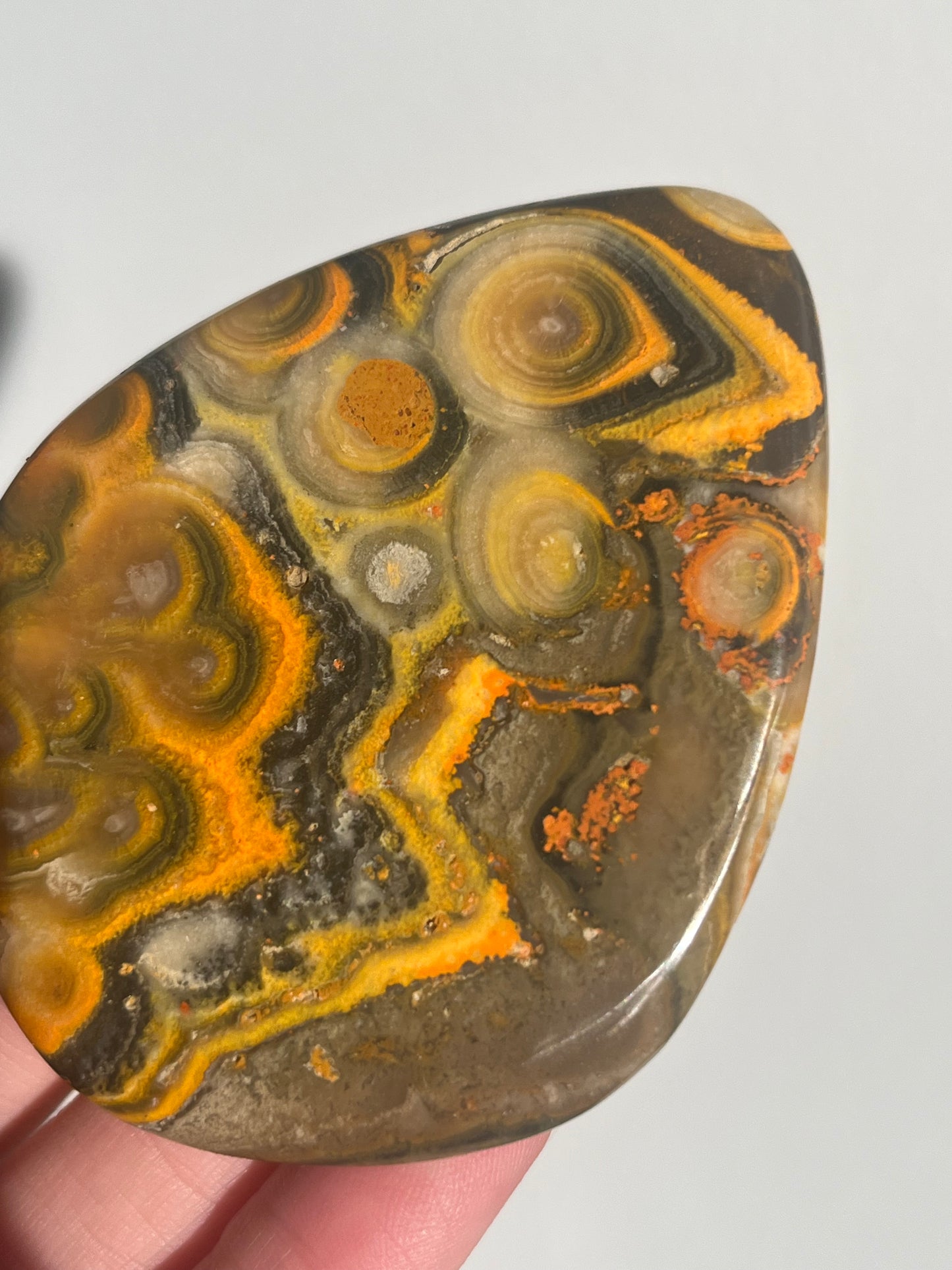 'All Seeing Eye' Old Stock Orbicular Bumblebee Jasper Palmstone #4