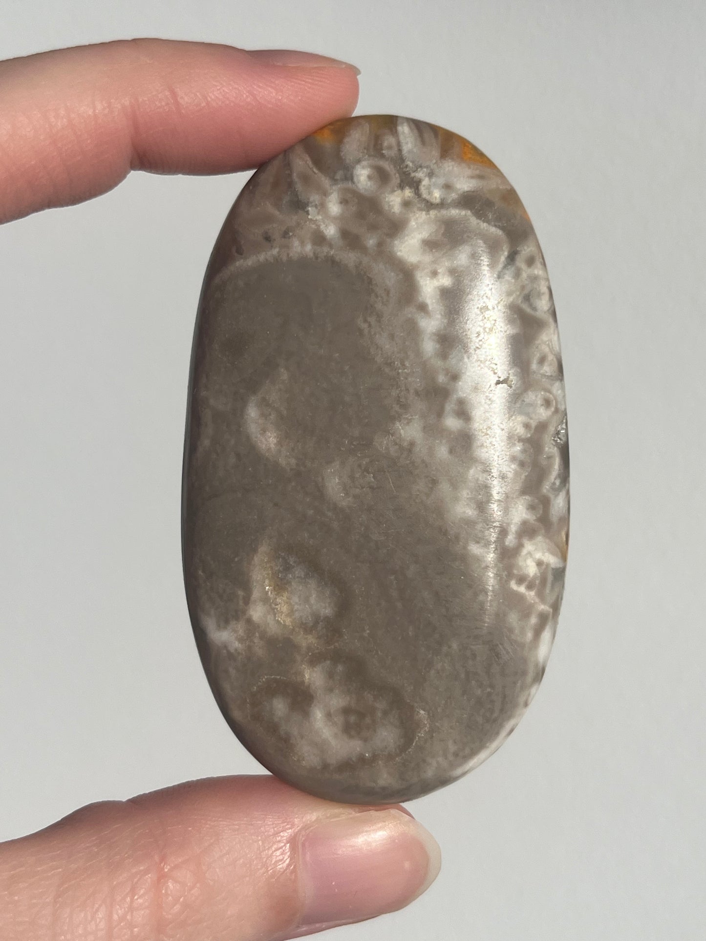 'Ovale' Old Stock Orbicular Bumblebee Jasper Palmstone #5