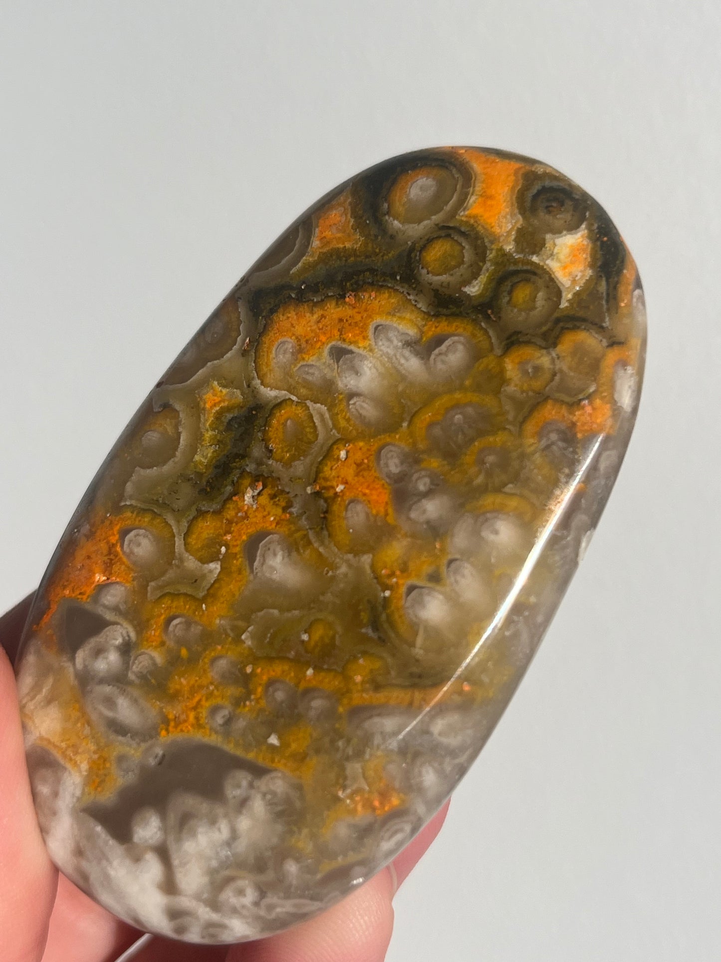 'Ovale' Old Stock Orbicular Bumblebee Jasper Palmstone #5