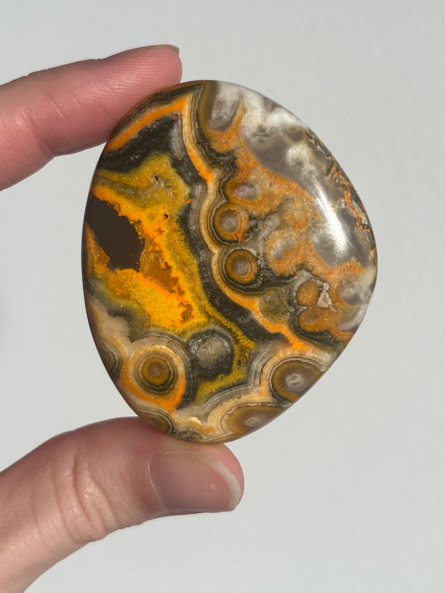 'Talisman' Old Stock Orbicular Bumblebee Jasper Palmstone #6