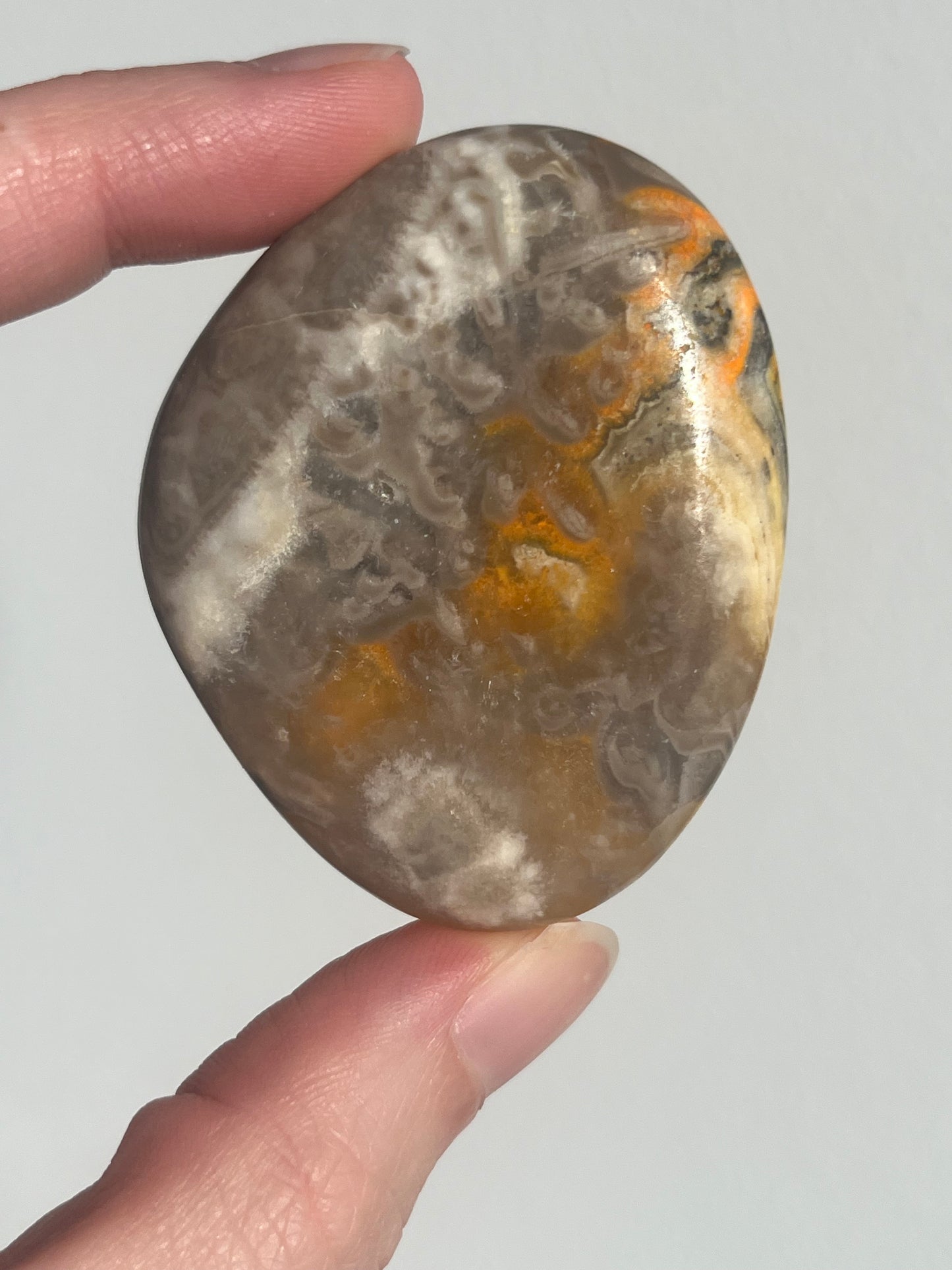 'Talisman' Old Stock Orbicular Bumblebee Jasper Palmstone #6