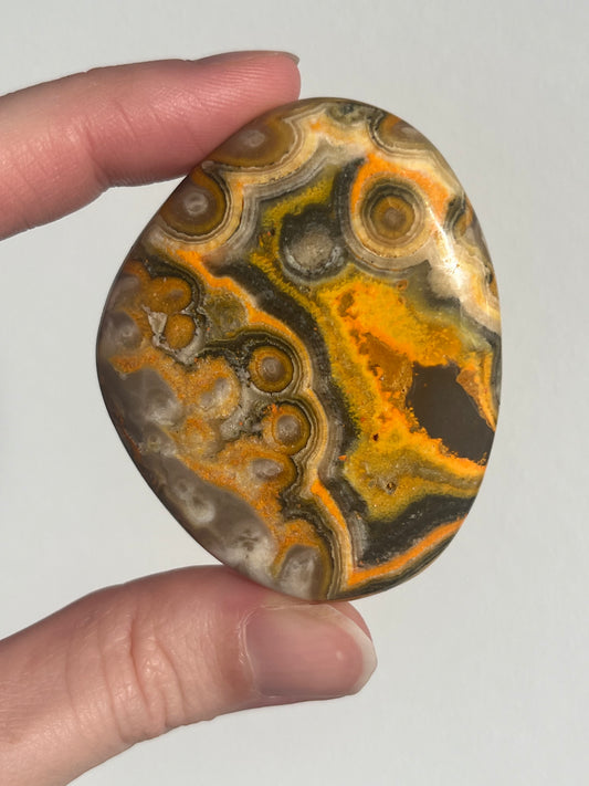 'Talisman' Old Stock Orbicular Bumblebee Jasper Palmstone (mined 2016)