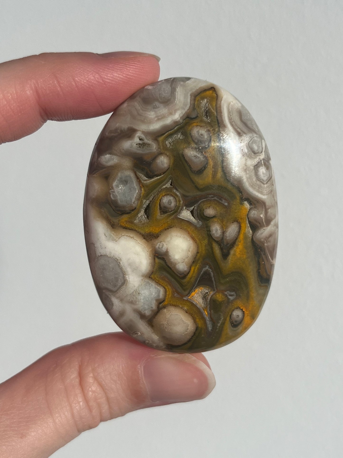 'Plume' Old Stock Orbicular Bumblebee Jasper Palmstone #7