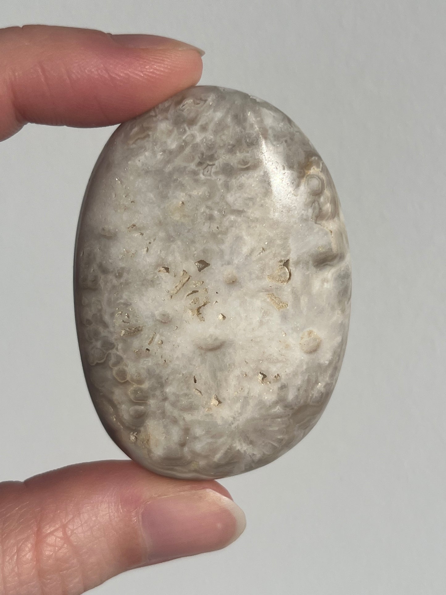 'Plume' Old Stock Orbicular Bumblebee Jasper Palmstone #7