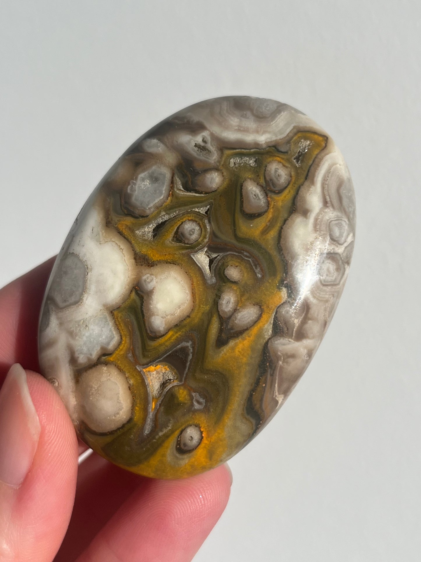 'Plume' Old Stock Orbicular Bumblebee Jasper Palmstone #7