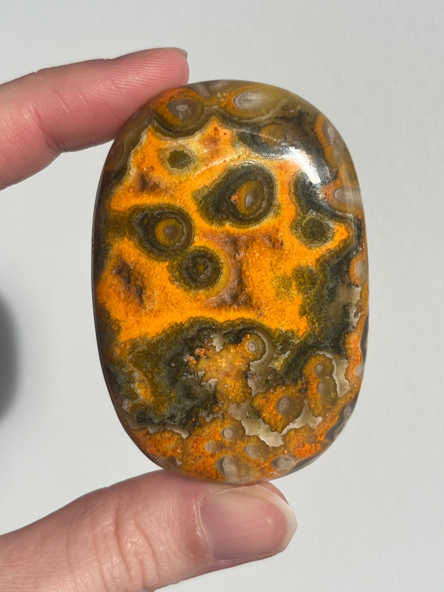 'Essentia' Old Stock Orbicular Bumblebee Jasper Palmstone #8