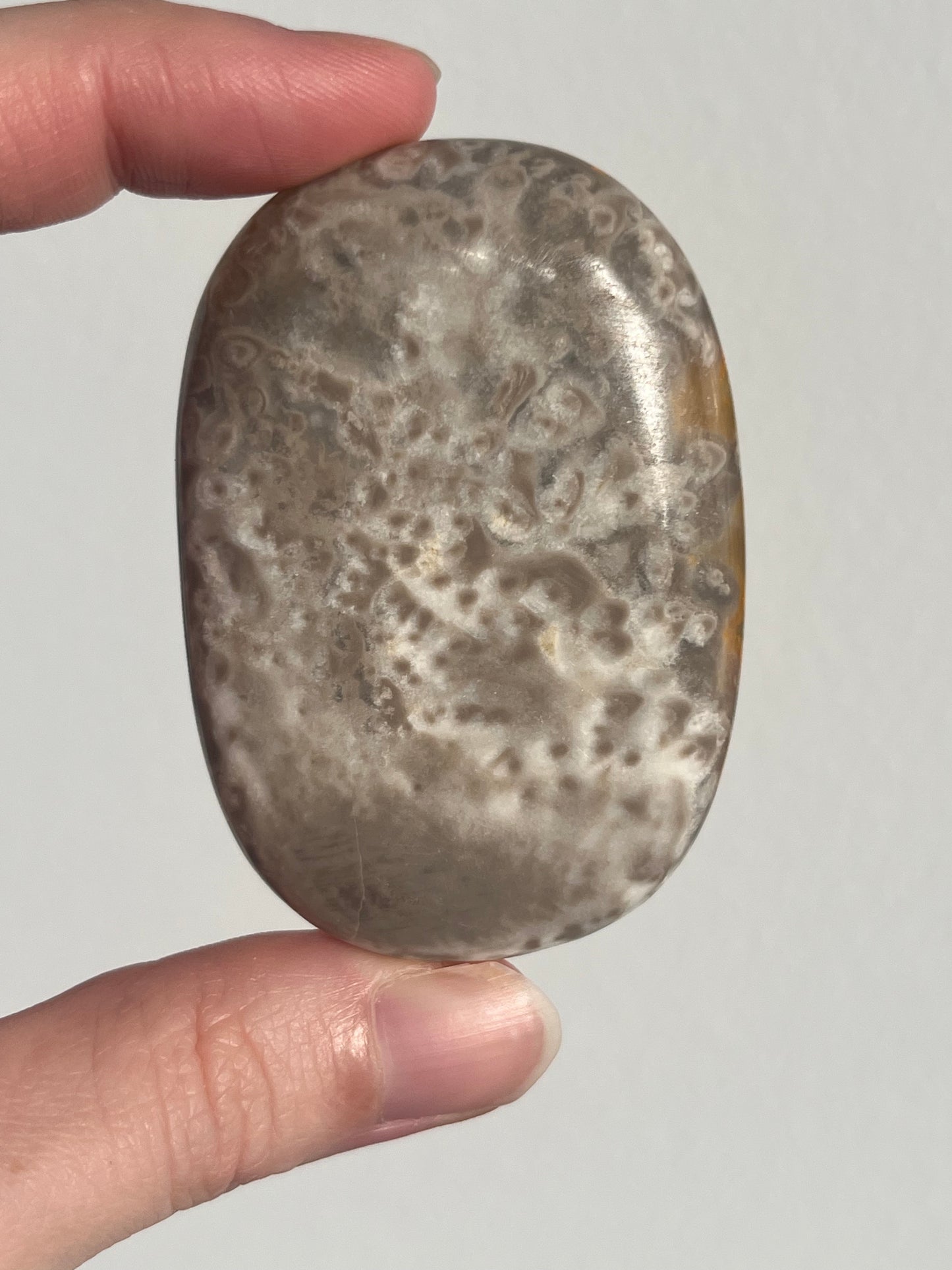 'Essentia' Old Stock Orbicular Bumblebee Jasper Palmstone #8