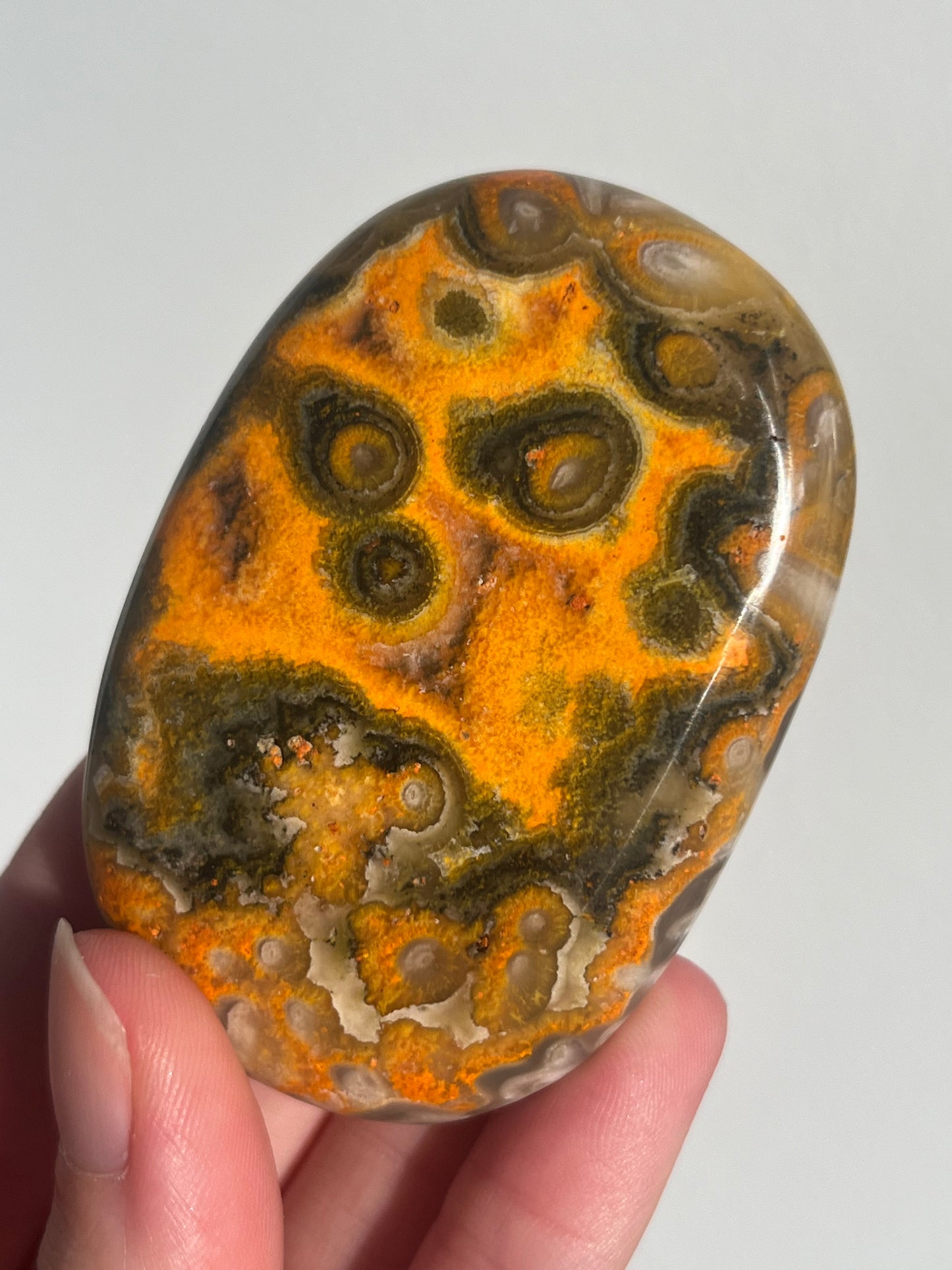 'Essentia' Old Stock Orbicular Bumblebee Jasper Palmstone #8