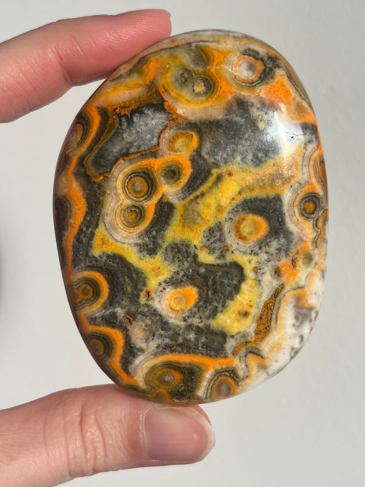 'Nusantara' Old Stock Orbicular Bumblebee Jasper Palmstone #9