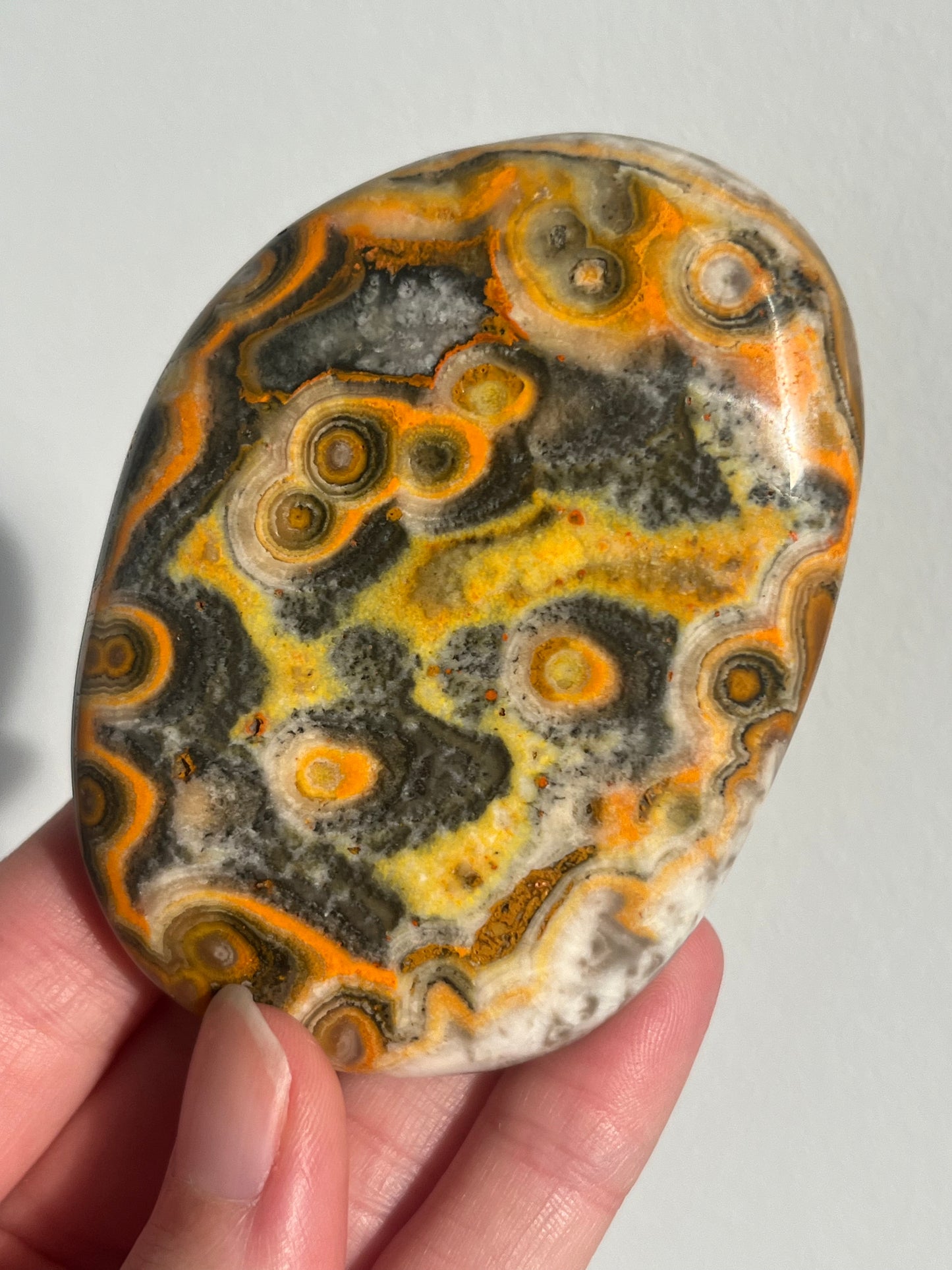 'Nusantara' Old Stock Orbicular Bumblebee Jasper Palmstone #9