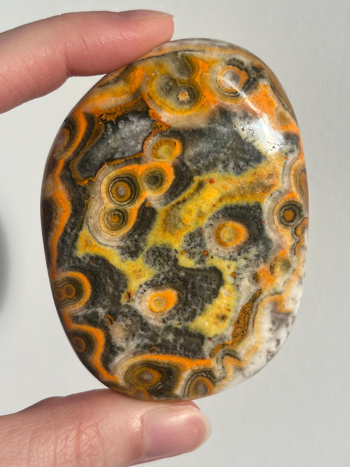 'Nusantara' Old Stock Orbicular Bumblebee Jasper Palmstone #9