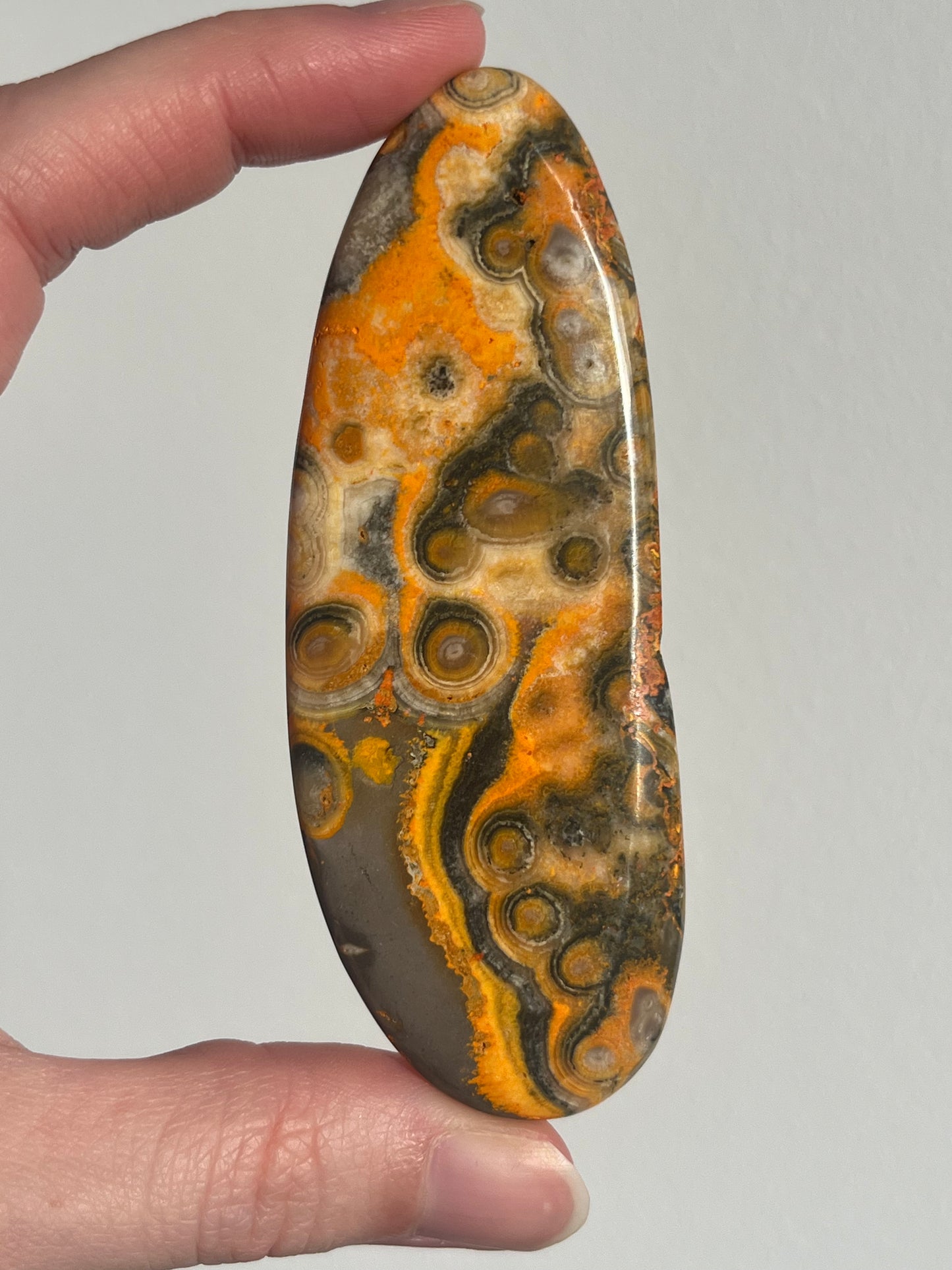 'Delta' Old Stock Orbicular Bumblebee Jasper Palmstone #10