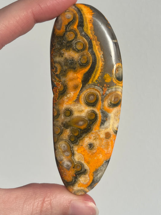 'Delta' Old Stock Orbicular Bumblebee Jasper Palmstone #10