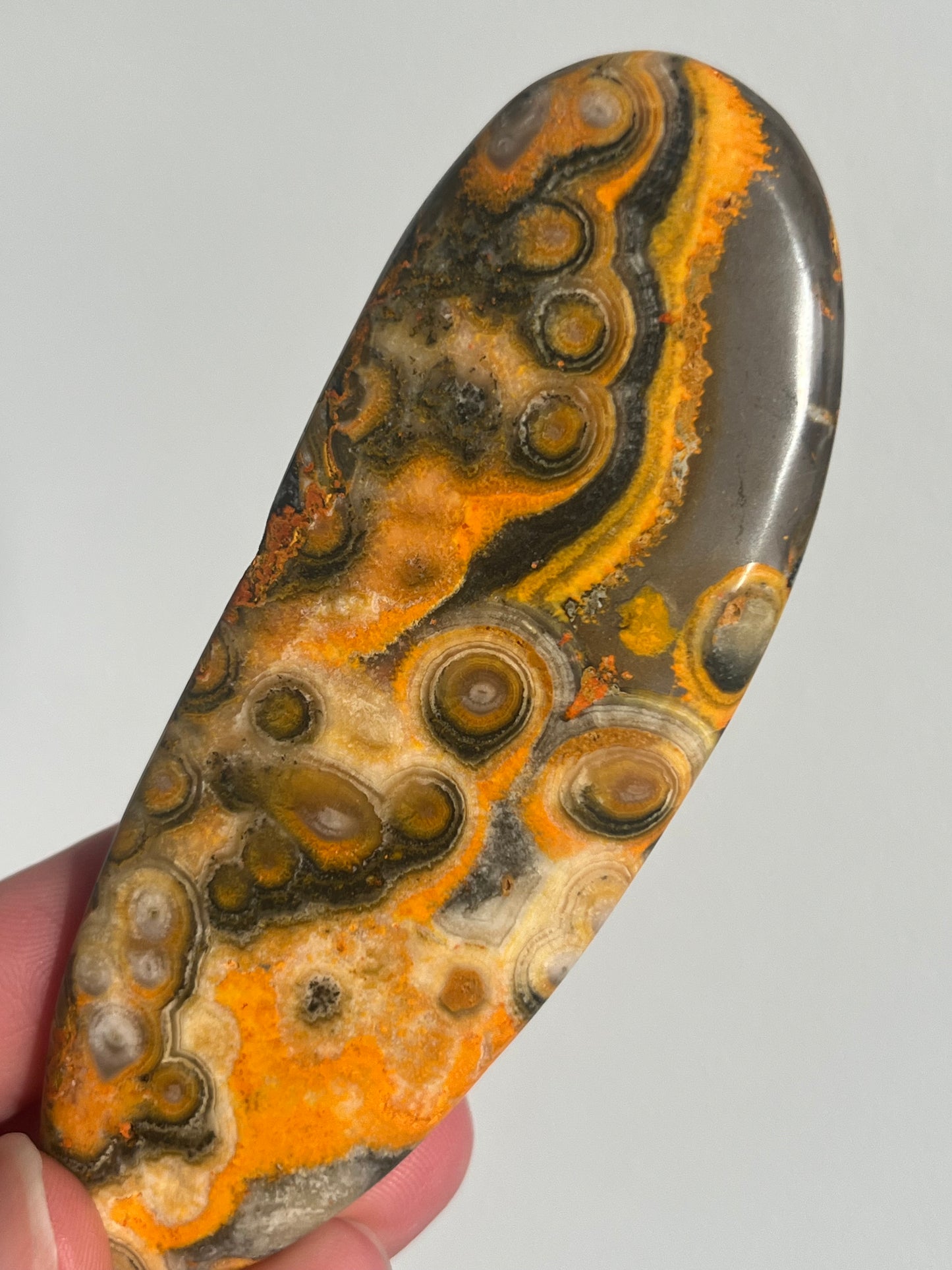 'Delta' Old Stock Orbicular Bumblebee Jasper Palmstone #10